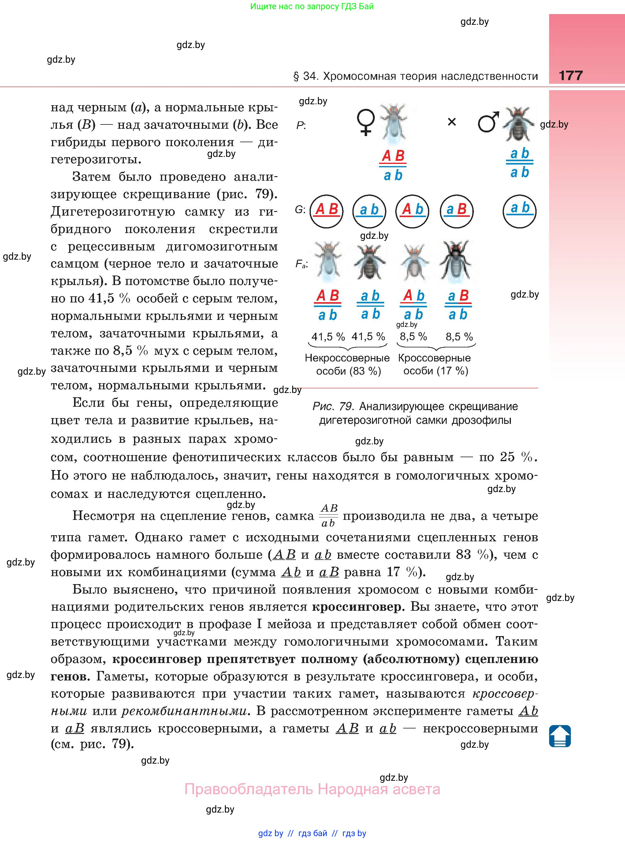 Биология, 11 класс Учебник, авторы: Дашков Максим Леонидович, Песнякевич Александр Георгиевич, Головач Алексей Михайлович, издательство Народная асвета, Минск, 2021, голубого цвета, страница 177