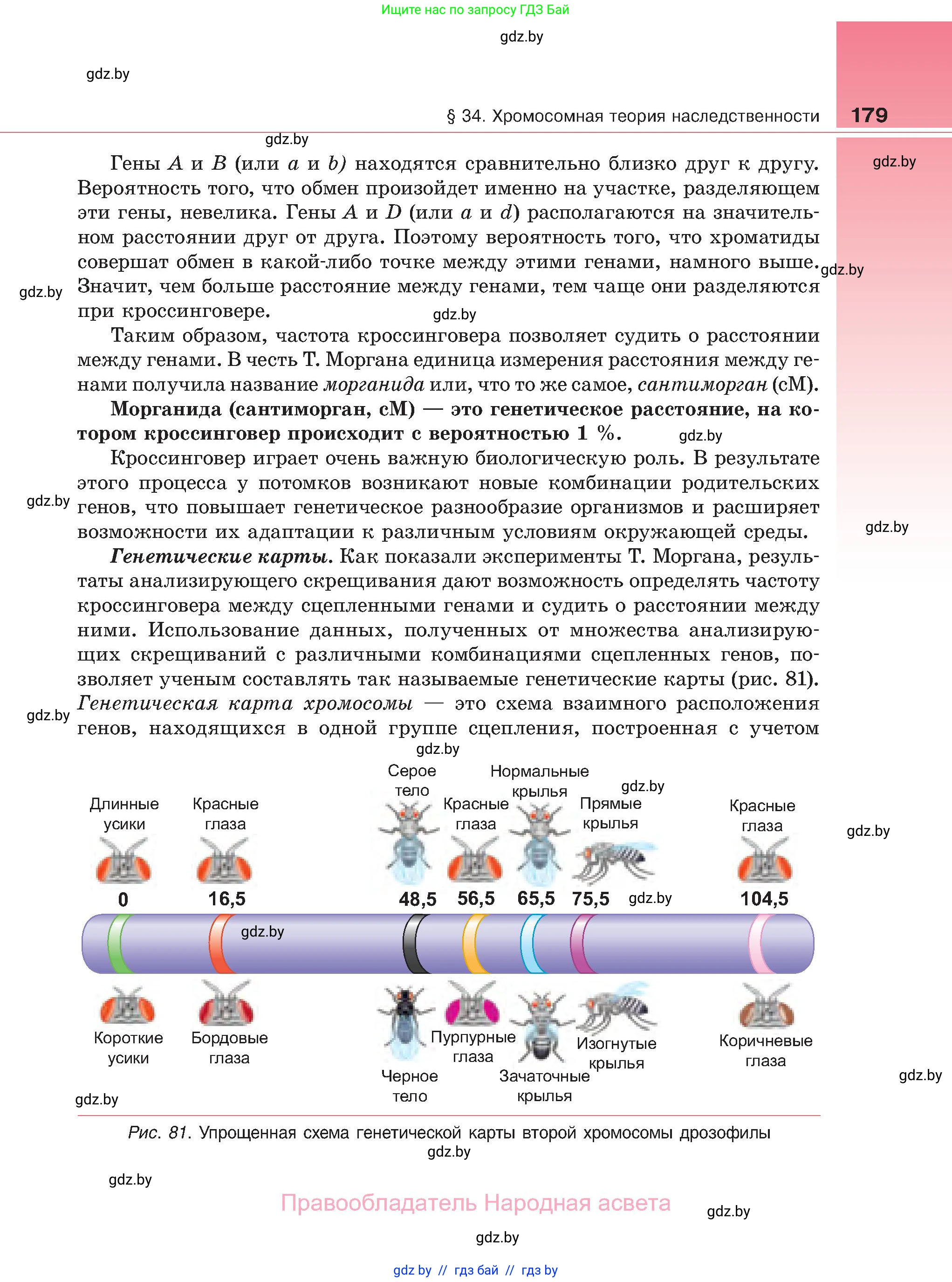 Биология, 11 класс Учебник, авторы: Дашков Максим Леонидович, Песнякевич Александр Георгиевич, Головач Алексей Михайлович, издательство Народная асвета, Минск, 2021, голубого цвета, страница 179