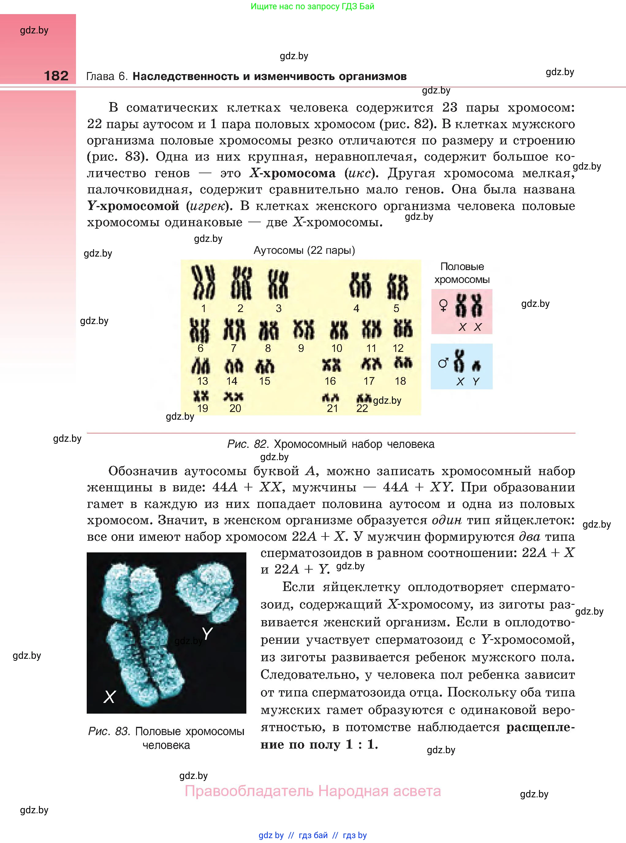 Биология, 11 класс Учебник, авторы: Дашков Максим Леонидович, Песнякевич Александр Георгиевич, Головач Алексей Михайлович, издательство Народная асвета, Минск, 2021, голубого цвета, страница 182