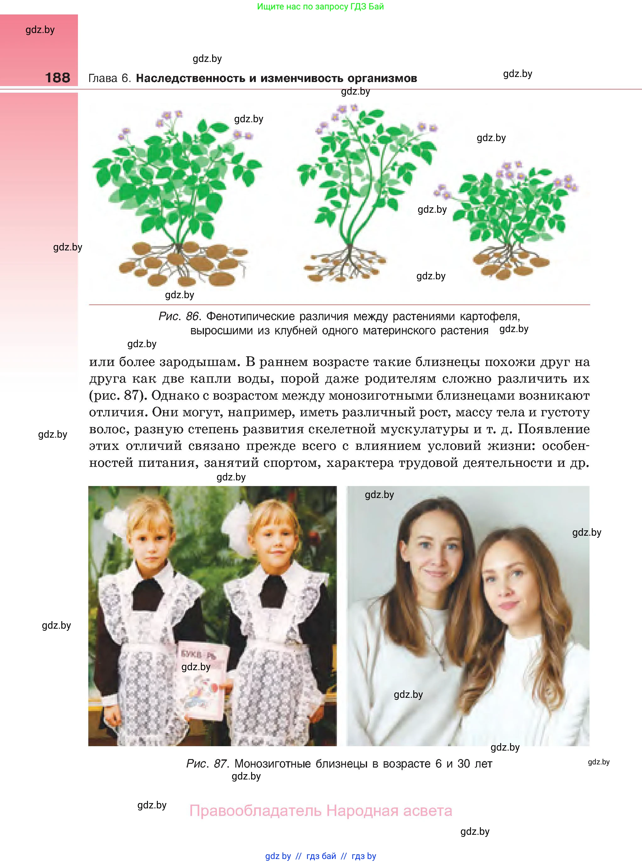 Биология, 11 класс Учебник, авторы: Дашков Максим Леонидович, Песнякевич Александр Георгиевич, Головач Алексей Михайлович, издательство Народная асвета, Минск, 2021, голубого цвета, страница 188