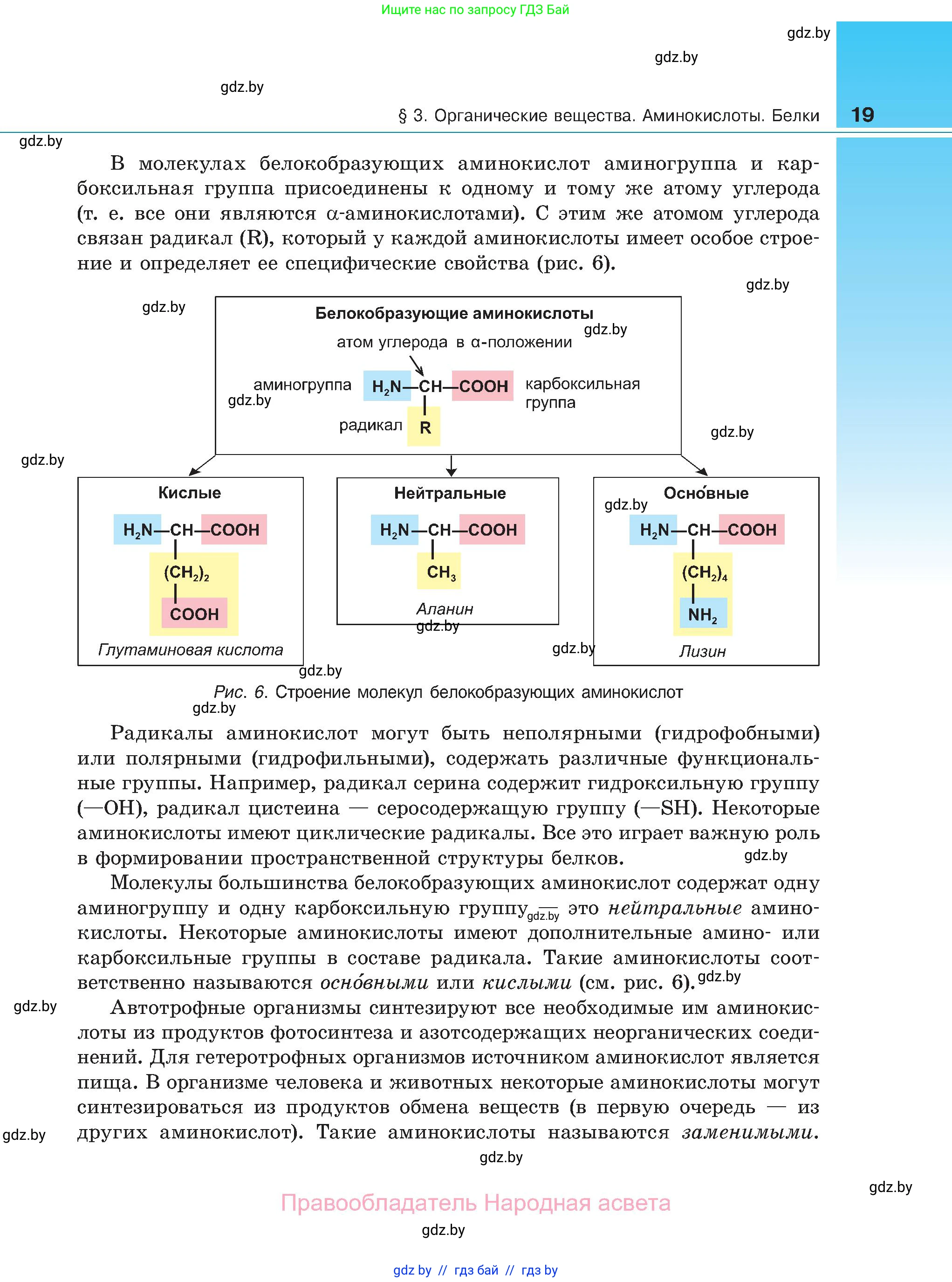 Биология, 11 класс Учебник, авторы: Дашков Максим Леонидович, Песнякевич Александр Георгиевич, Головач Алексей Михайлович, издательство Народная асвета, Минск, 2021, голубого цвета, страница 19