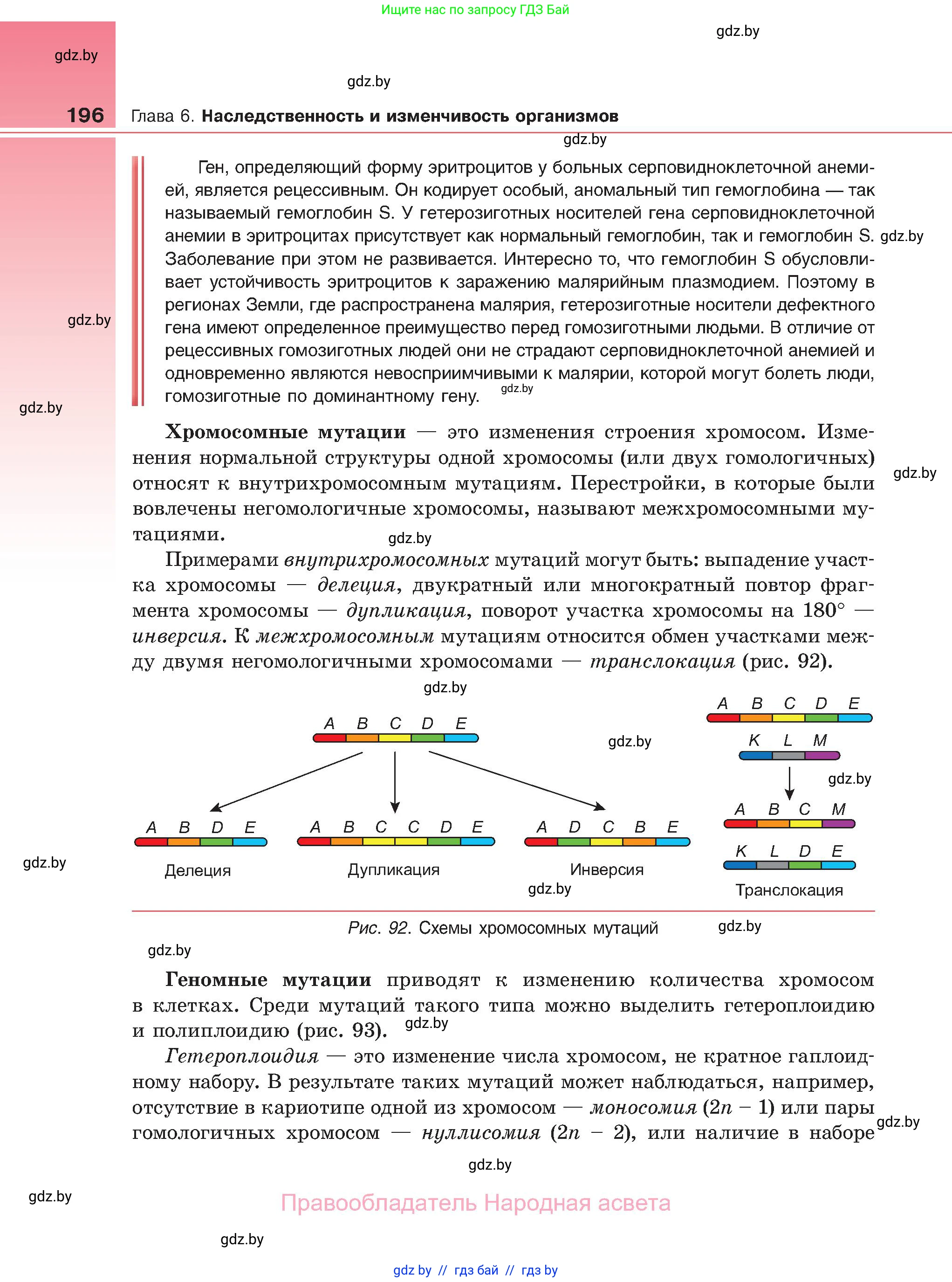 Биология, 11 класс Учебник, авторы: Дашков Максим Леонидович, Песнякевич Александр Георгиевич, Головач Алексей Михайлович, издательство Народная асвета, Минск, 2021, голубого цвета, страница 196