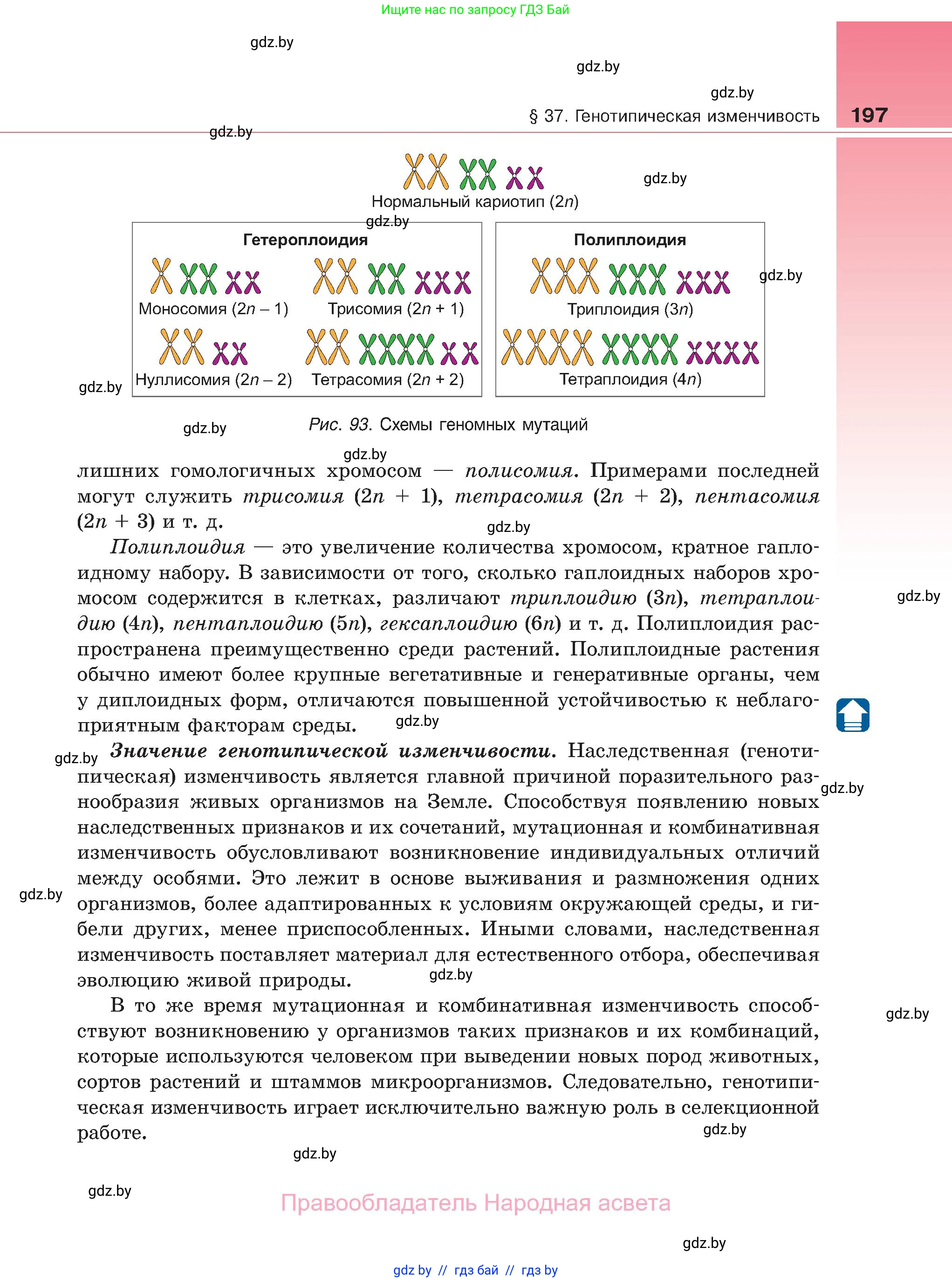 Биология, 11 класс Учебник, авторы: Дашков Максим Леонидович, Песнякевич Александр Георгиевич, Головач Алексей Михайлович, издательство Народная асвета, Минск, 2021, голубого цвета, страница 197
