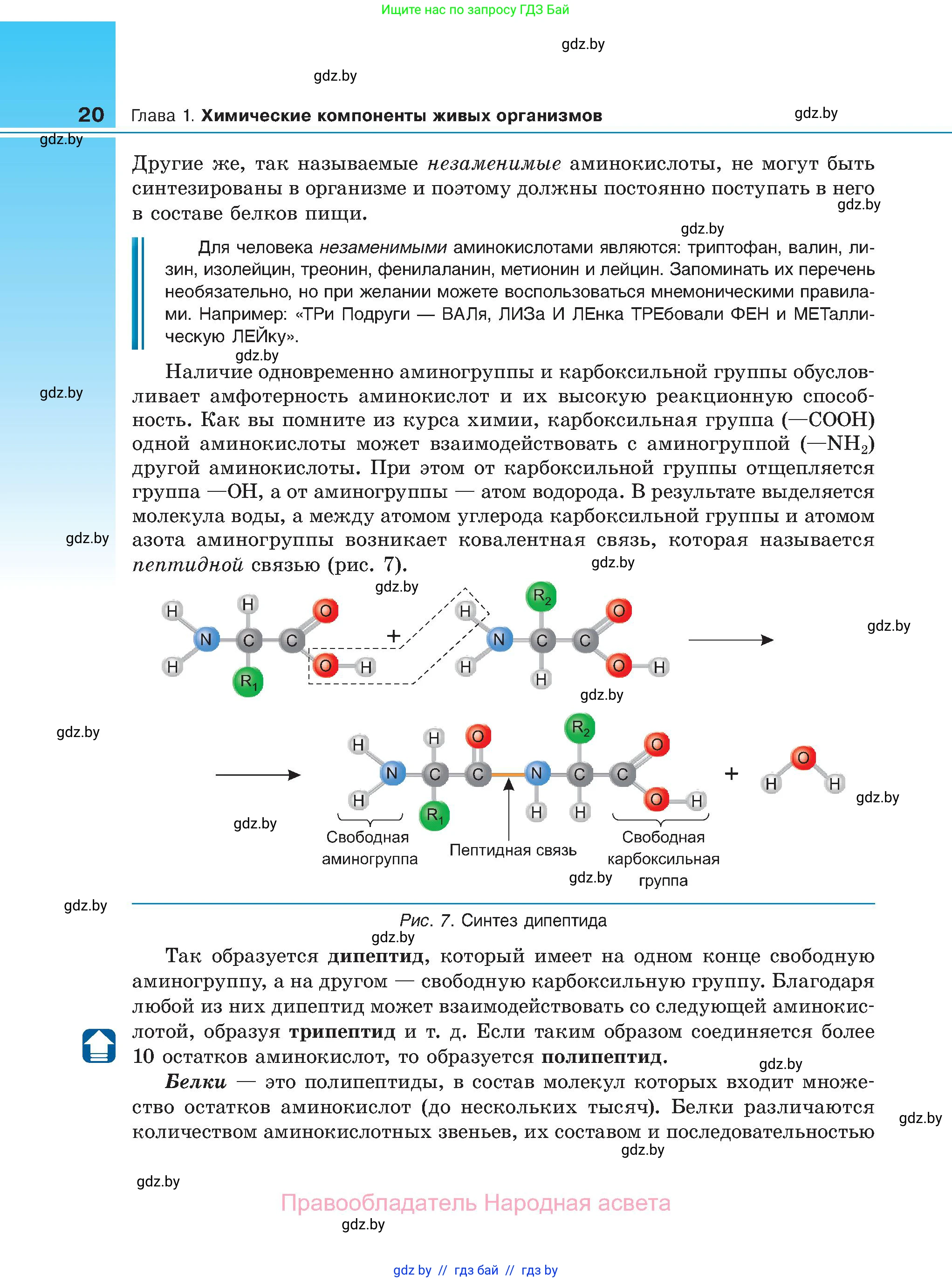 Биология, 11 класс Учебник, авторы: Дашков Максим Леонидович, Песнякевич Александр Георгиевич, Головач Алексей Михайлович, издательство Народная асвета, Минск, 2021, голубого цвета, страница 20