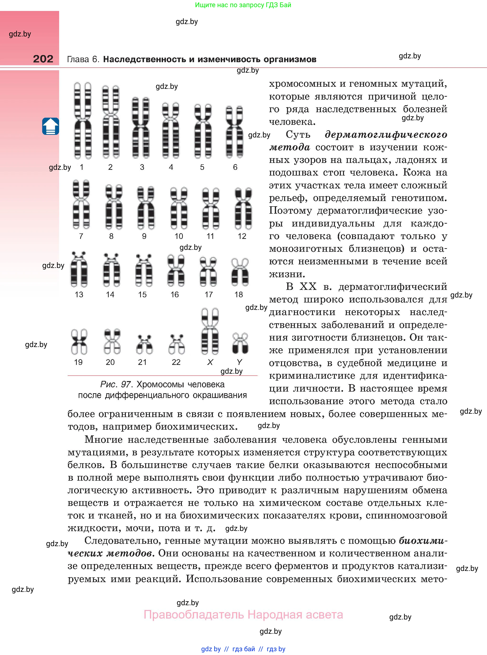 Биология, 11 класс Учебник, авторы: Дашков Максим Леонидович, Песнякевич Александр Георгиевич, Головач Алексей Михайлович, издательство Народная асвета, Минск, 2021, голубого цвета, страница 202