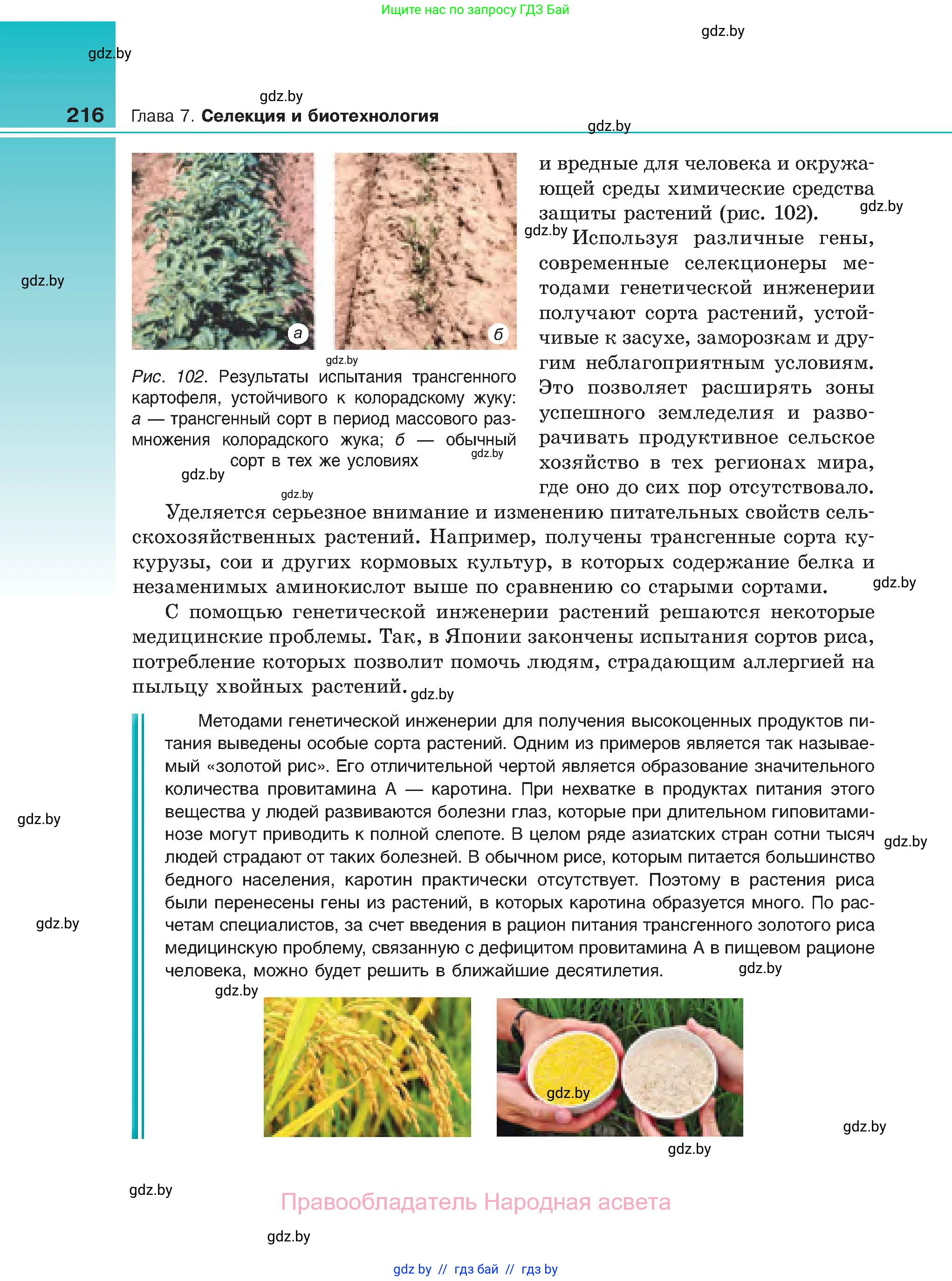Биология, 11 класс Учебник, авторы: Дашков Максим Леонидович, Песнякевич Александр Георгиевич, Головач Алексей Михайлович, издательство Народная асвета, Минск, 2021, голубого цвета, страница 216