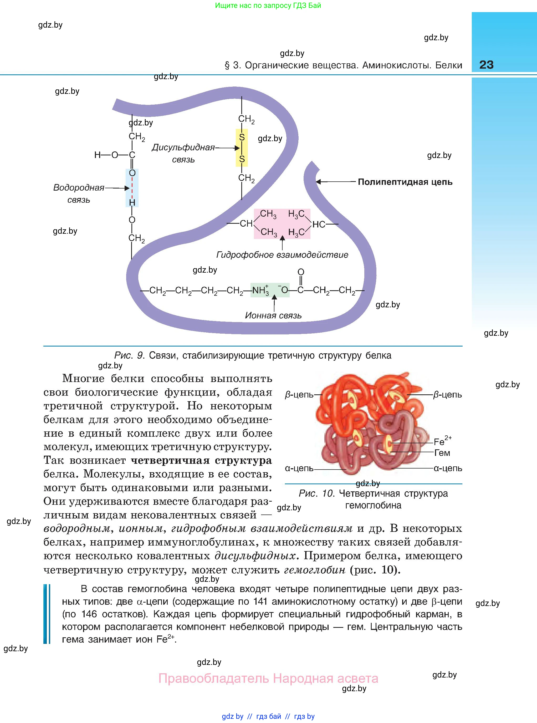 Биология, 11 класс Учебник, авторы: Дашков Максим Леонидович, Песнякевич Александр Георгиевич, Головач Алексей Михайлович, издательство Народная асвета, Минск, 2021, голубого цвета, страница 23