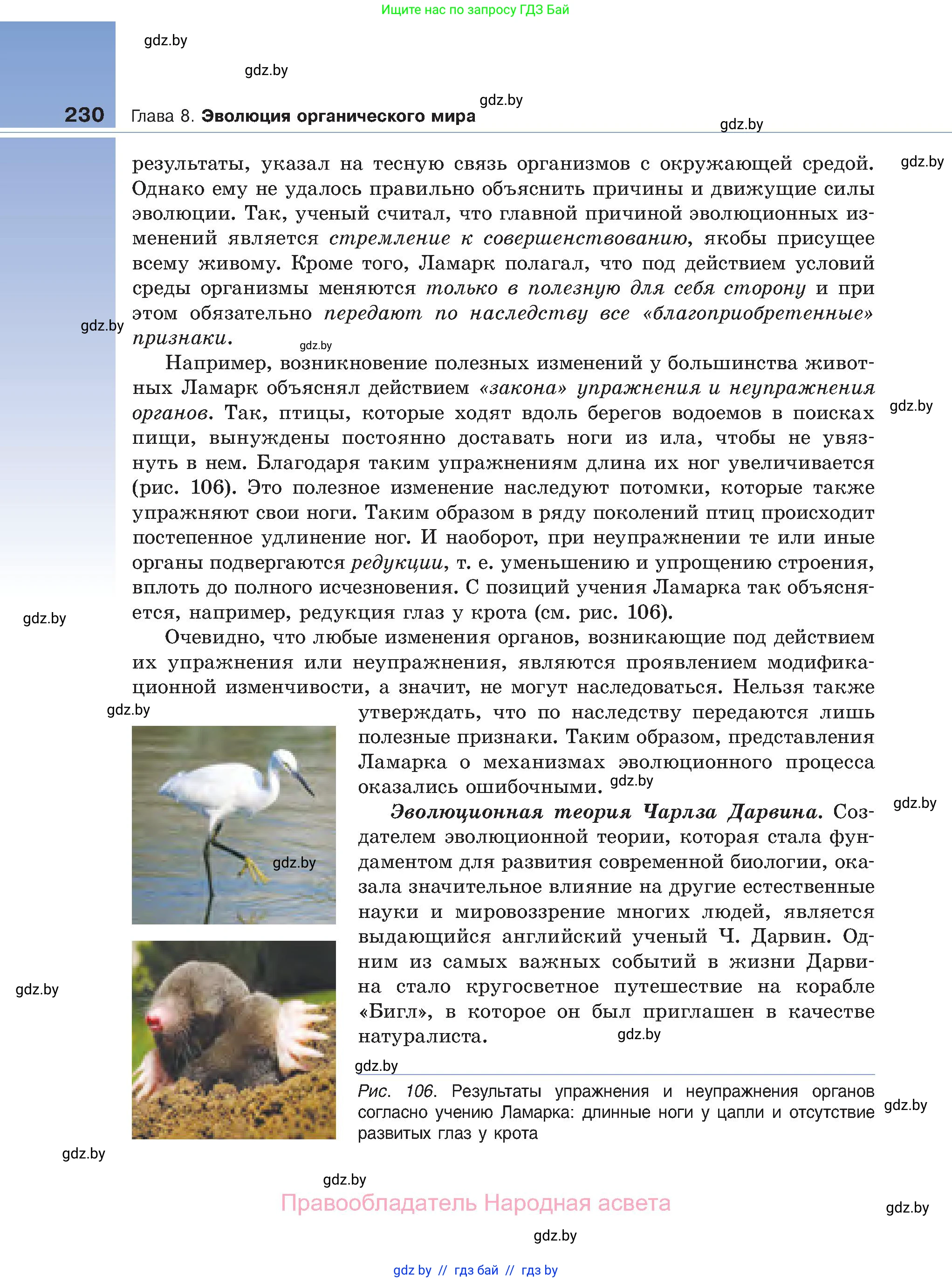 Биология, 11 класс Учебник, авторы: Дашков Максим Леонидович, Песнякевич Александр Георгиевич, Головач Алексей Михайлович, издательство Народная асвета, Минск, 2021, голубого цвета, страница 230