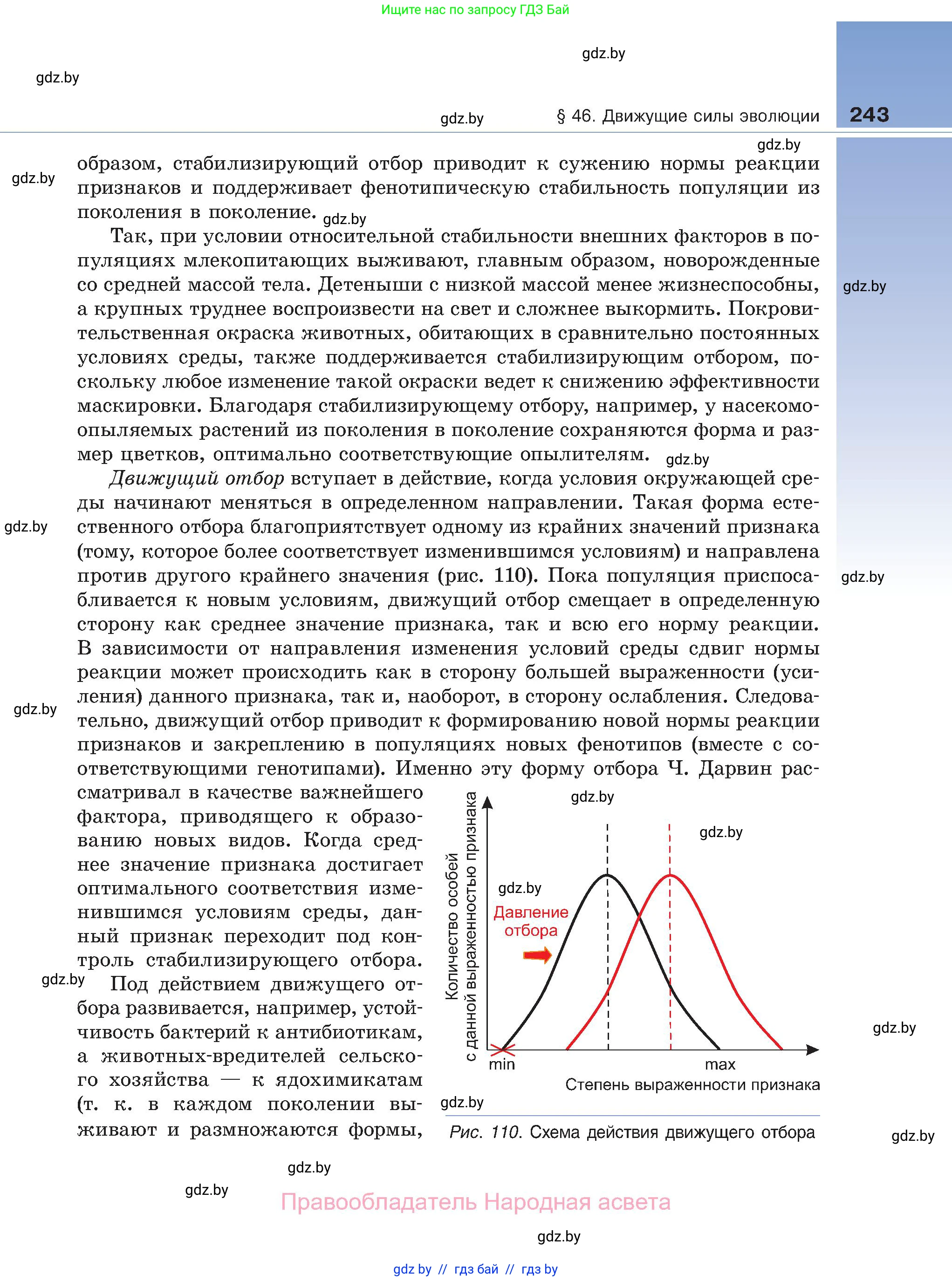 Биология, 11 класс Учебник, авторы: Дашков Максим Леонидович, Песнякевич Александр Георгиевич, Головач Алексей Михайлович, издательство Народная асвета, Минск, 2021, голубого цвета, страница 243