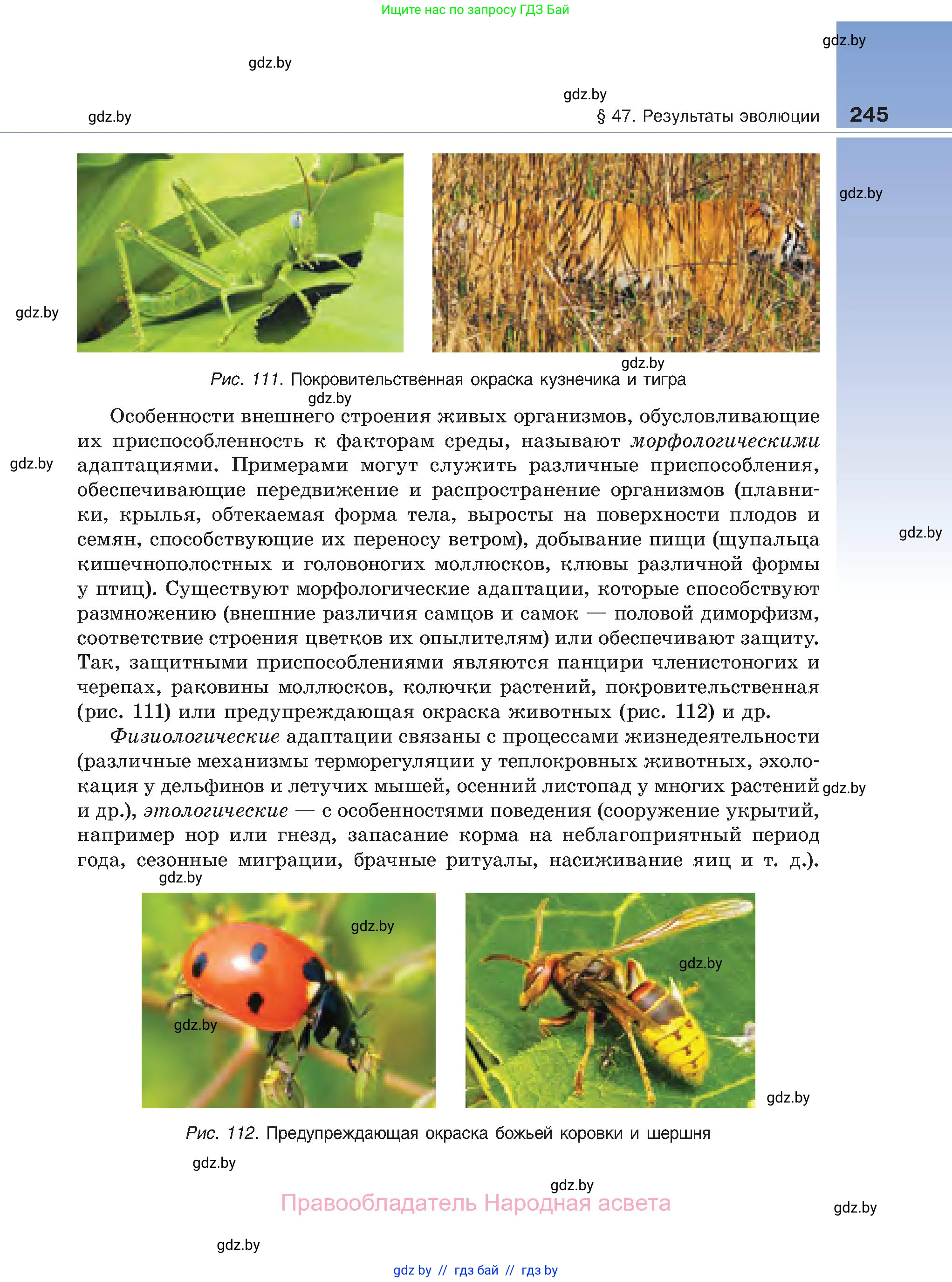 Биология, 11 класс Учебник, авторы: Дашков Максим Леонидович, Песнякевич Александр Георгиевич, Головач Алексей Михайлович, издательство Народная асвета, Минск, 2021, голубого цвета, страница 245