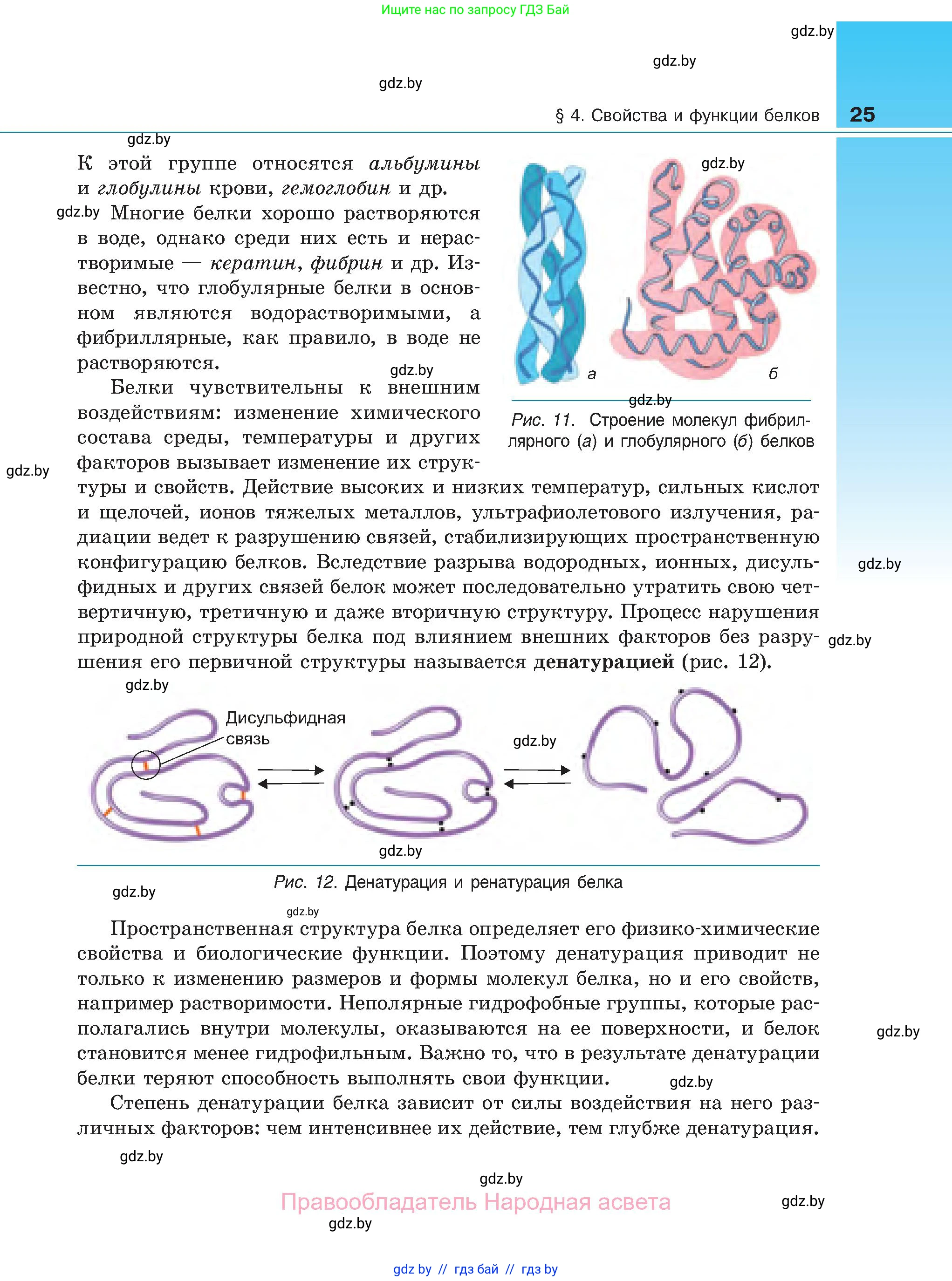 Биология, 11 класс Учебник, авторы: Дашков Максим Леонидович, Песнякевич Александр Георгиевич, Головач Алексей Михайлович, издательство Народная асвета, Минск, 2021, голубого цвета, страница 25