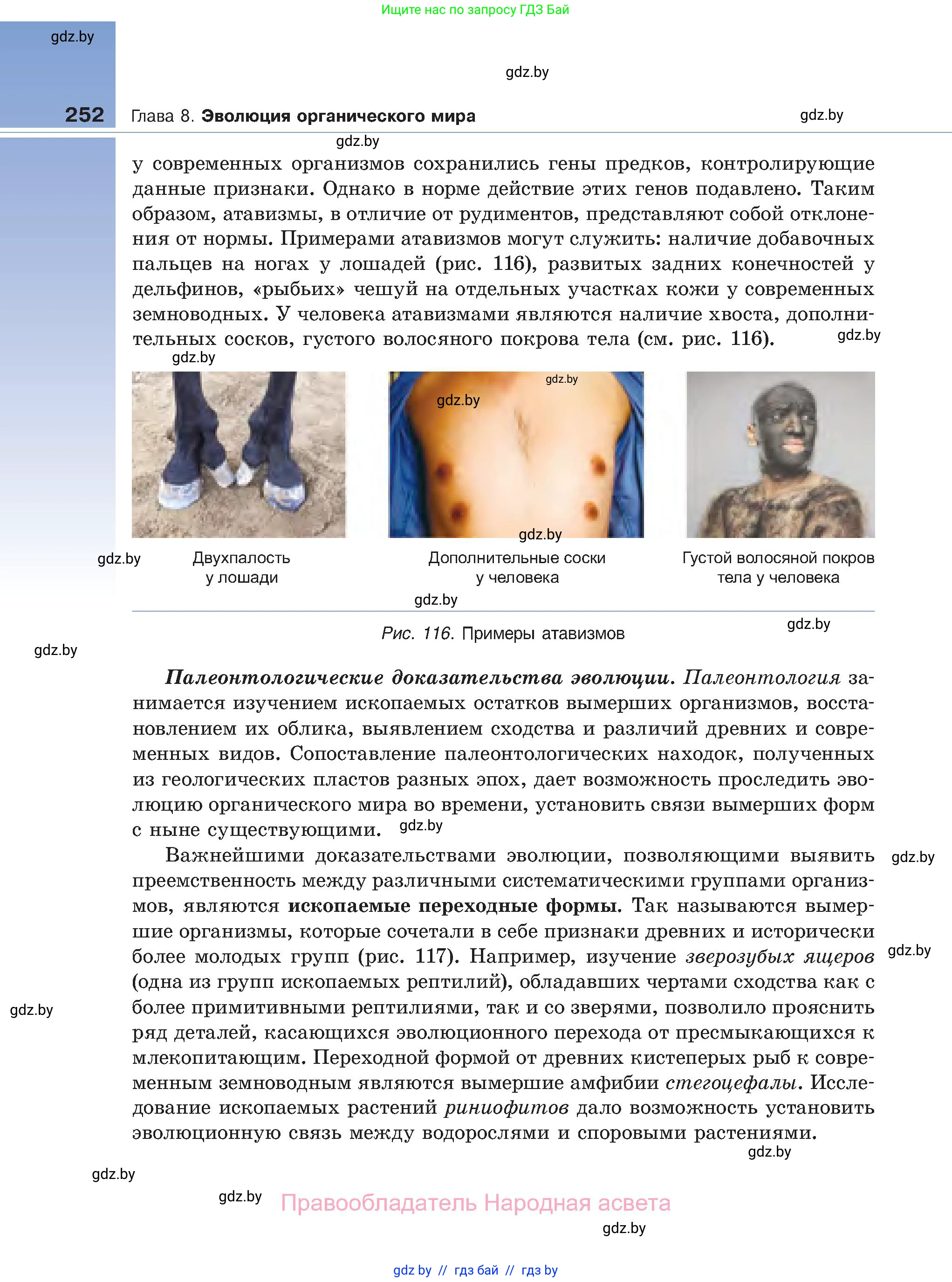 Биология, 11 класс Учебник, авторы: Дашков Максим Леонидович, Песнякевич Александр Георгиевич, Головач Алексей Михайлович, издательство Народная асвета, Минск, 2021, голубого цвета, страница 252