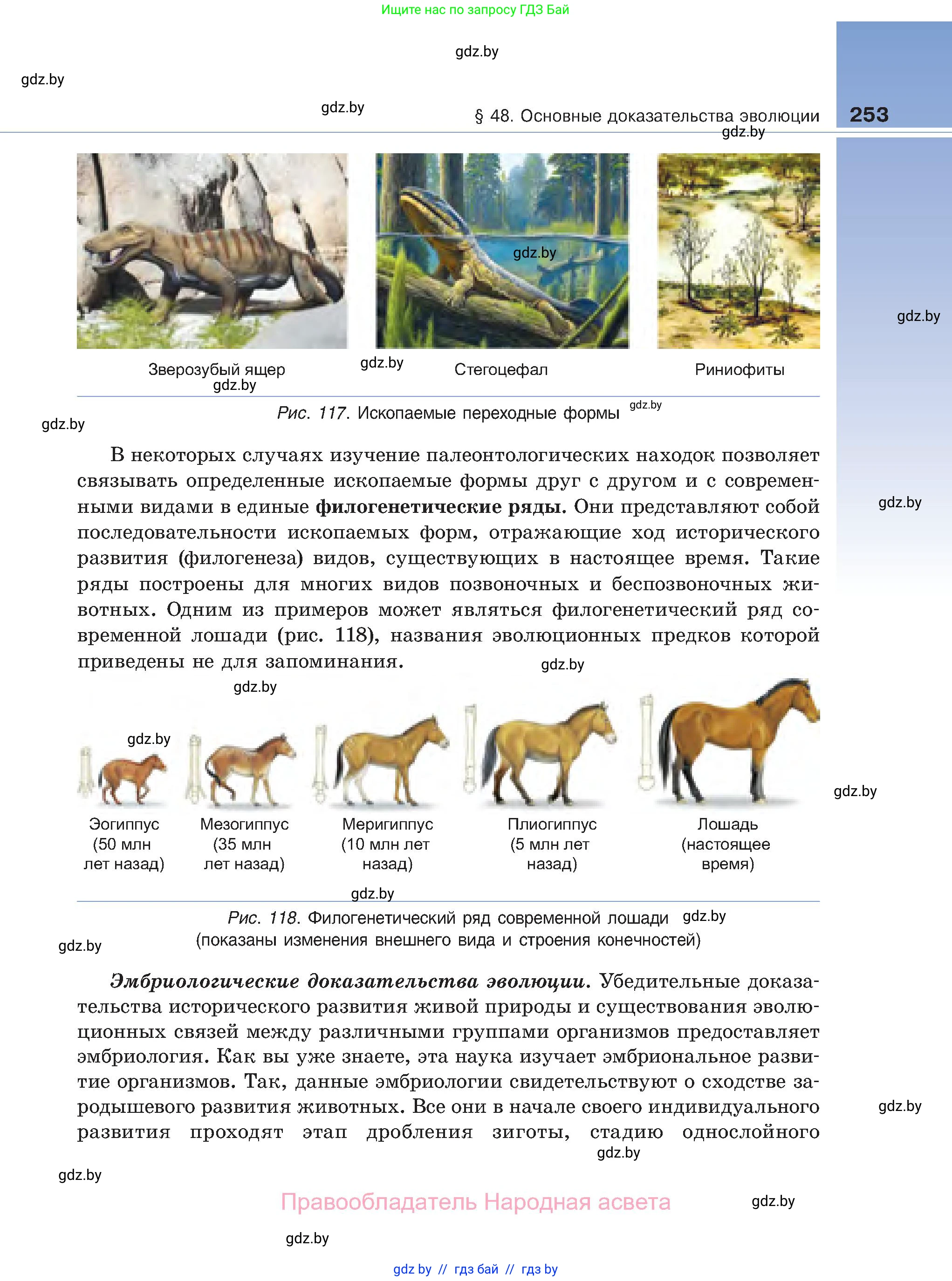 Биология, 11 класс Учебник, авторы: Дашков Максим Леонидович, Песнякевич Александр Георгиевич, Головач Алексей Михайлович, издательство Народная асвета, Минск, 2021, голубого цвета, страница 253