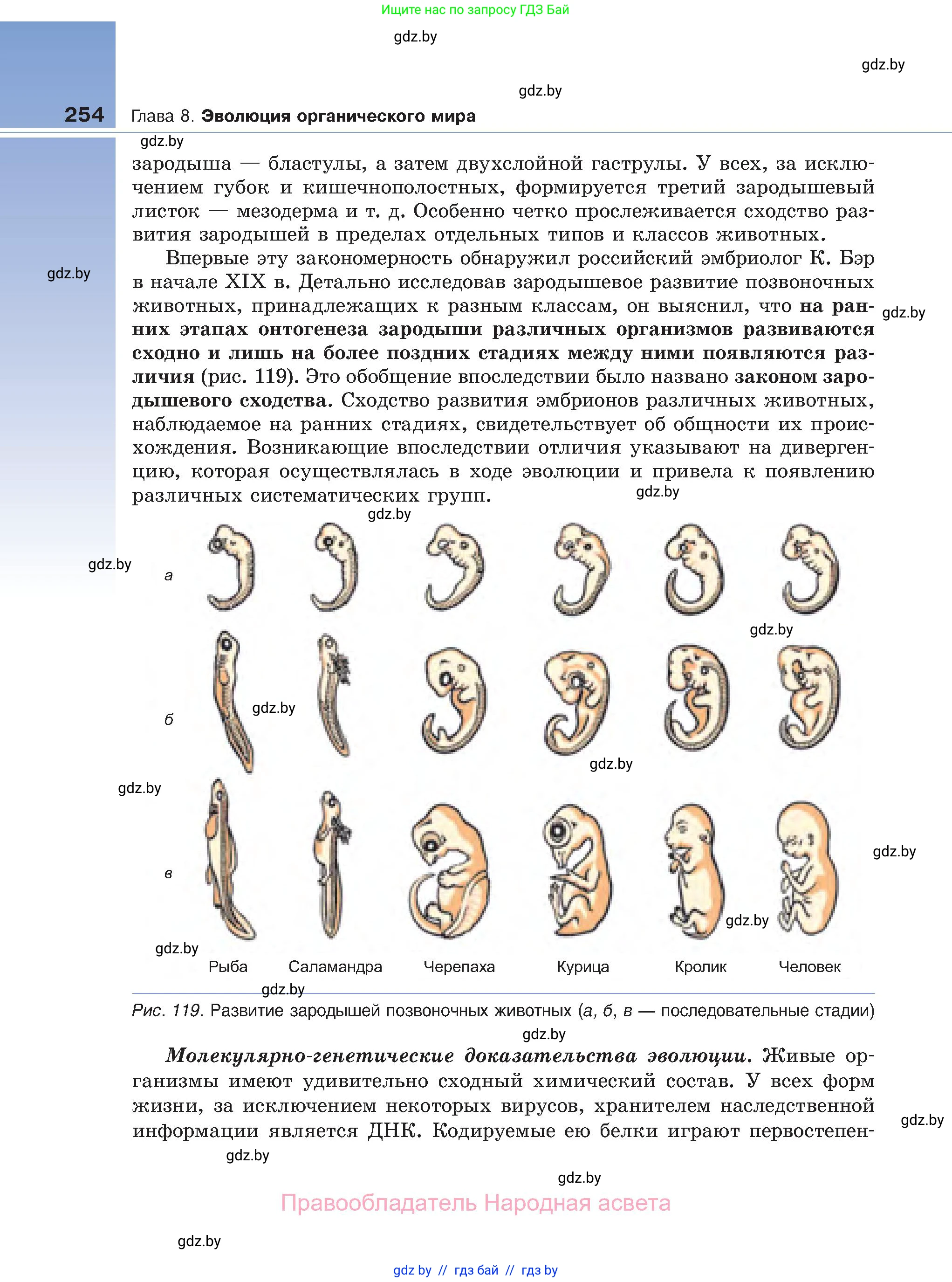 Биология, 11 класс Учебник, авторы: Дашков Максим Леонидович, Песнякевич Александр Георгиевич, Головач Алексей Михайлович, издательство Народная асвета, Минск, 2021, голубого цвета, страница 254