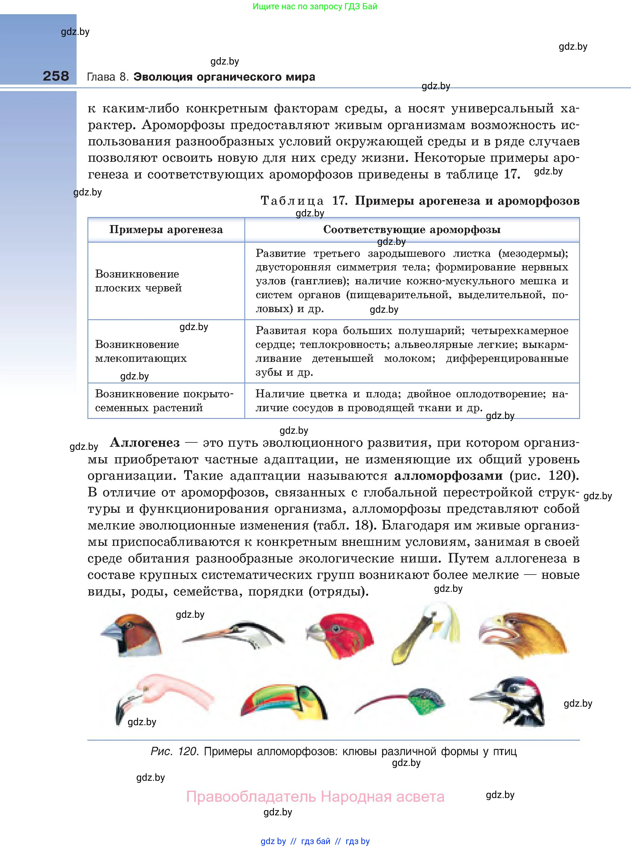 Биология, 11 класс Учебник, авторы: Дашков Максим Леонидович, Песнякевич Александр Георгиевич, Головач Алексей Михайлович, издательство Народная асвета, Минск, 2021, голубого цвета, страница 258