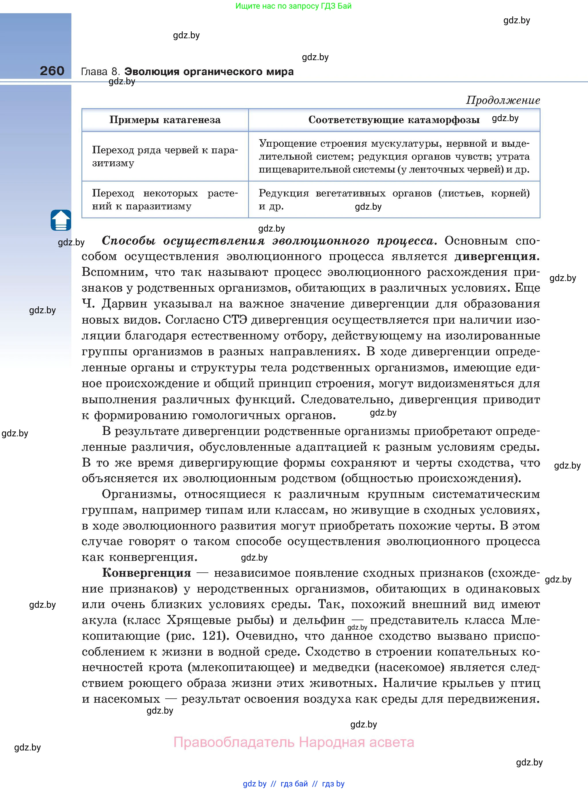 Биология, 11 класс Учебник, авторы: Дашков Максим Леонидович, Песнякевич Александр Георгиевич, Головач Алексей Михайлович, издательство Народная асвета, Минск, 2021, голубого цвета, страница 260