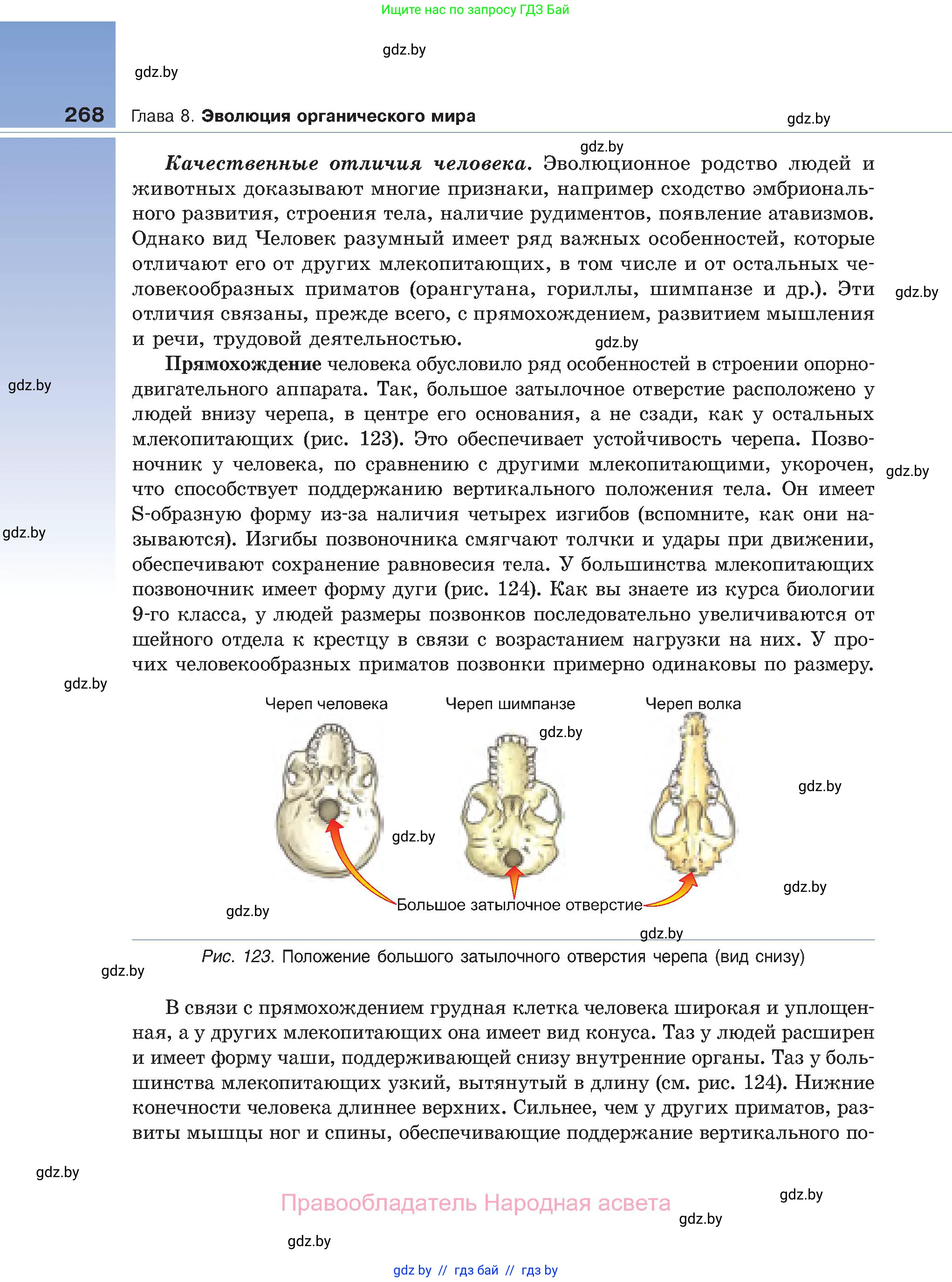 Биология, 11 класс Учебник, авторы: Дашков Максим Леонидович, Песнякевич Александр Георгиевич, Головач Алексей Михайлович, издательство Народная асвета, Минск, 2021, голубого цвета, страница 268