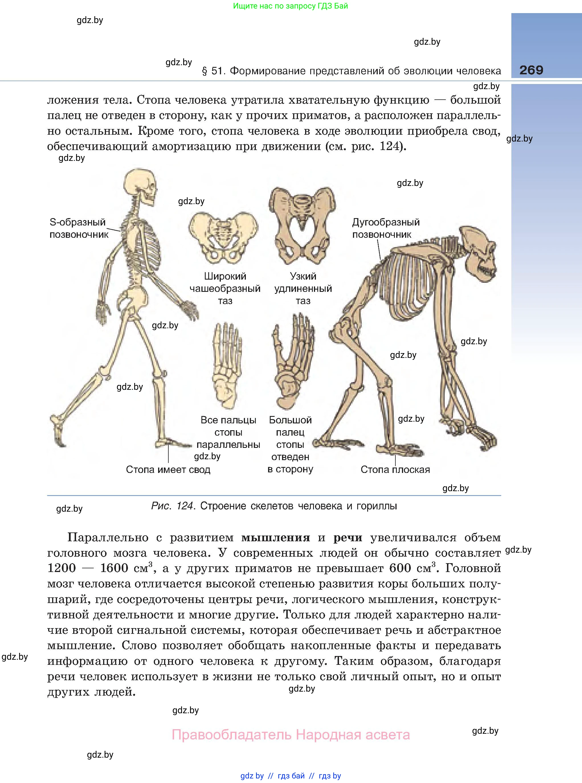 Биология, 11 класс Учебник, авторы: Дашков Максим Леонидович, Песнякевич Александр Георгиевич, Головач Алексей Михайлович, издательство Народная асвета, Минск, 2021, голубого цвета, страница 269