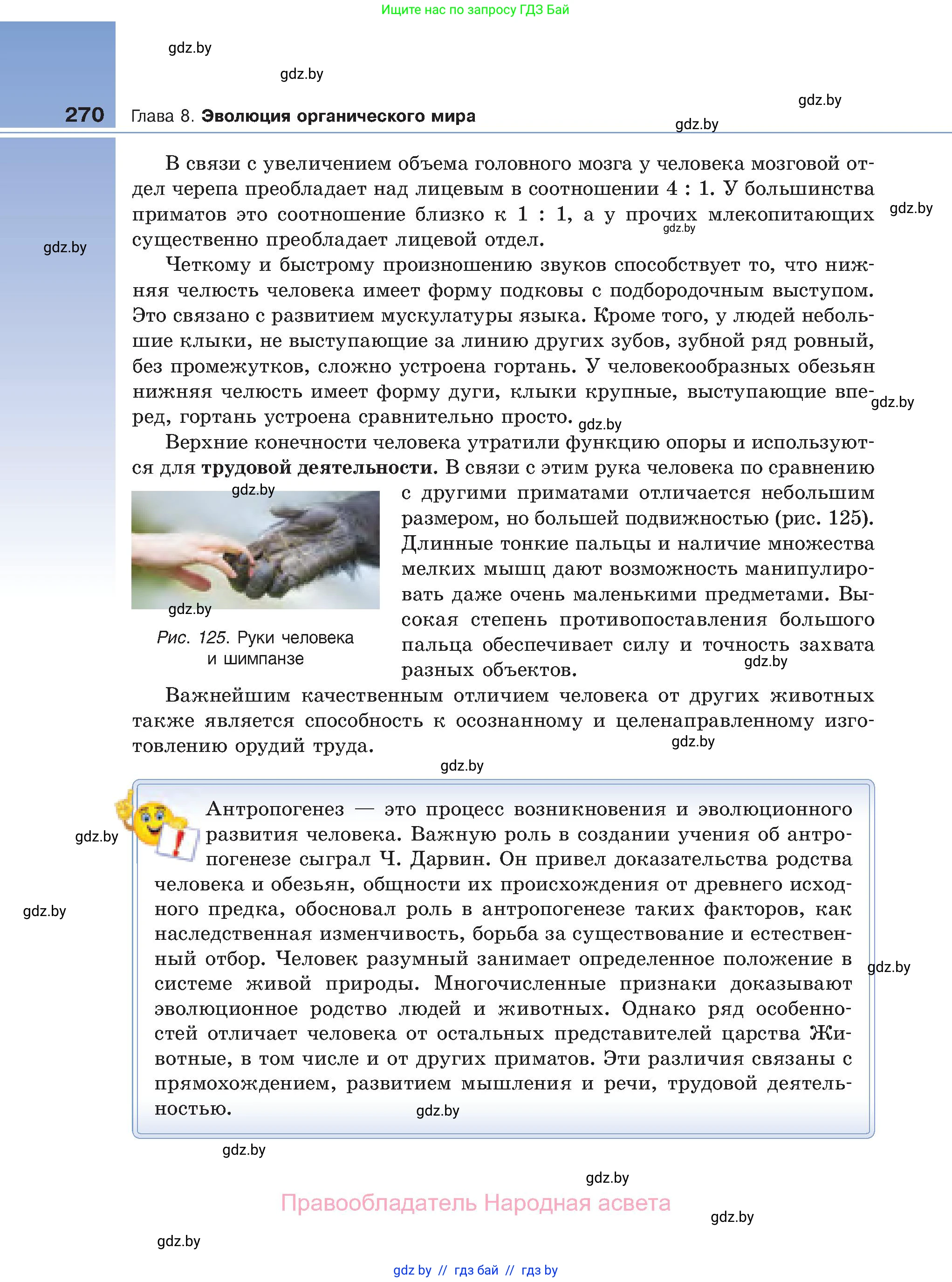Биология, 11 класс Учебник, авторы: Дашков Максим Леонидович, Песнякевич Александр Георгиевич, Головач Алексей Михайлович, издательство Народная асвета, Минск, 2021, голубого цвета, страница 270