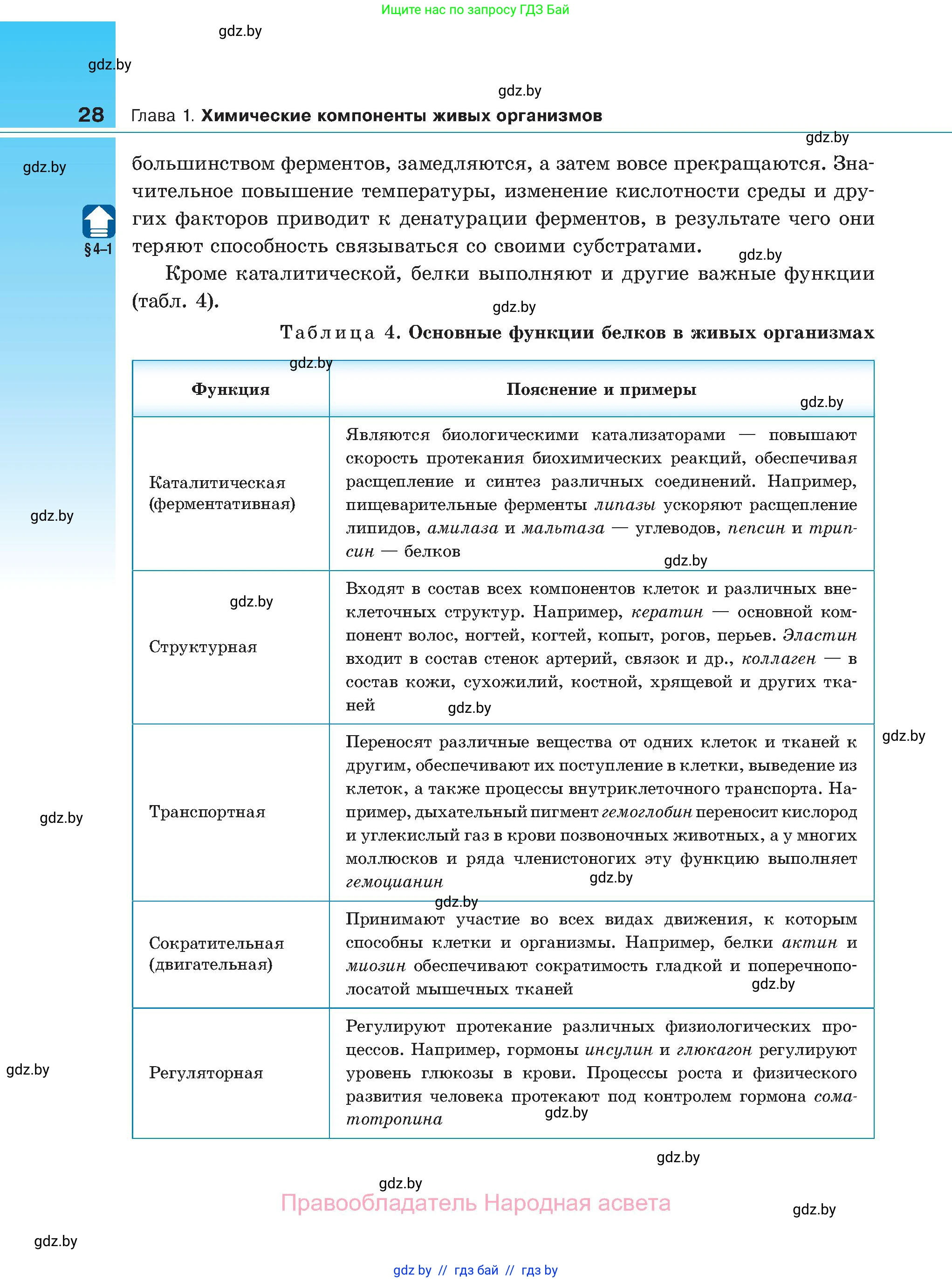 Биология, 11 класс Учебник, авторы: Дашков Максим Леонидович, Песнякевич Александр Георгиевич, Головач Алексей Михайлович, издательство Народная асвета, Минск, 2021, голубого цвета, страница 28
