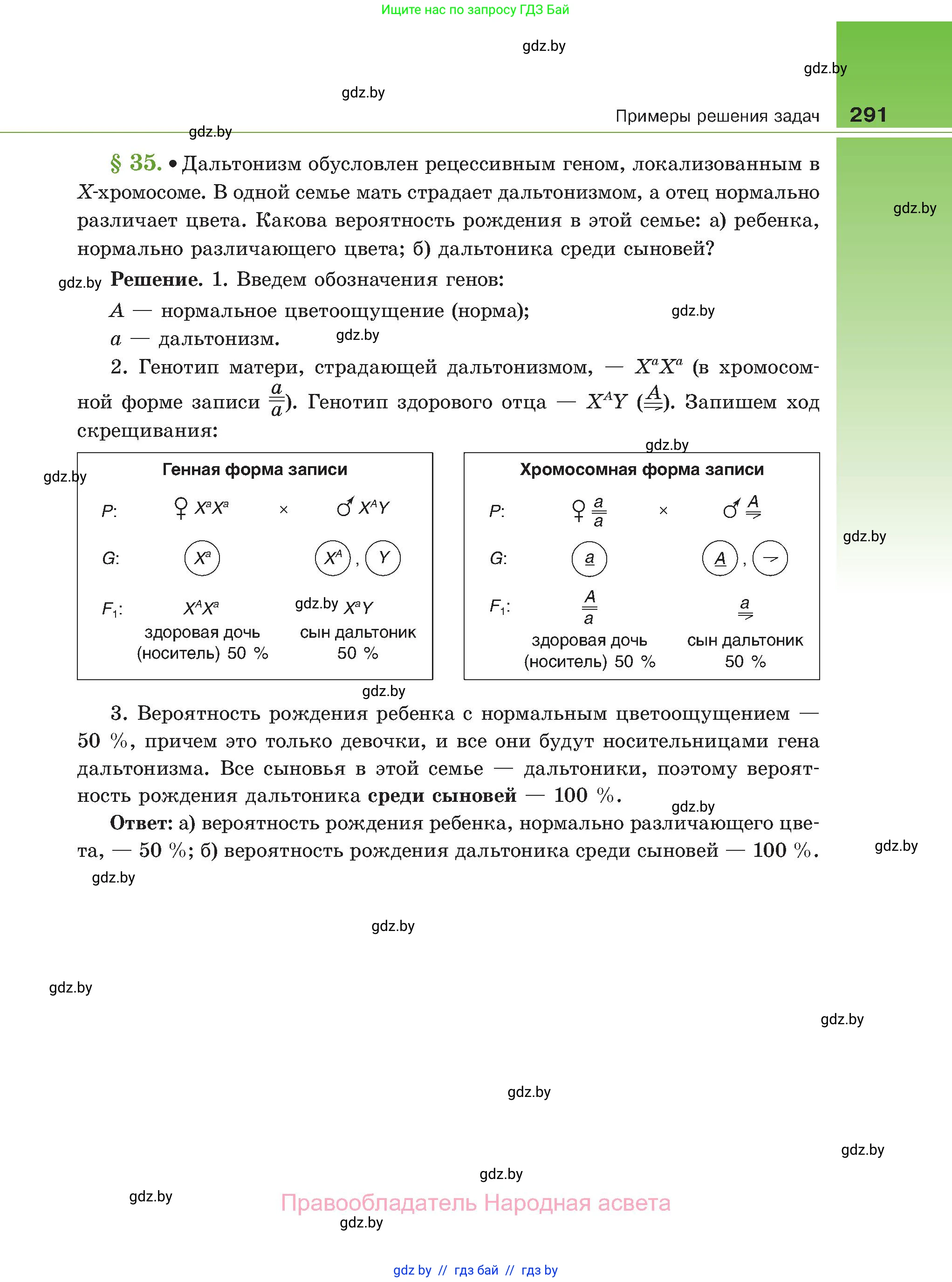 Биология, 11 класс Учебник, авторы: Дашков Максим Леонидович, Песнякевич Александр Георгиевич, Головач Алексей Михайлович, издательство Народная асвета, Минск, 2021, голубого цвета, страница 291
