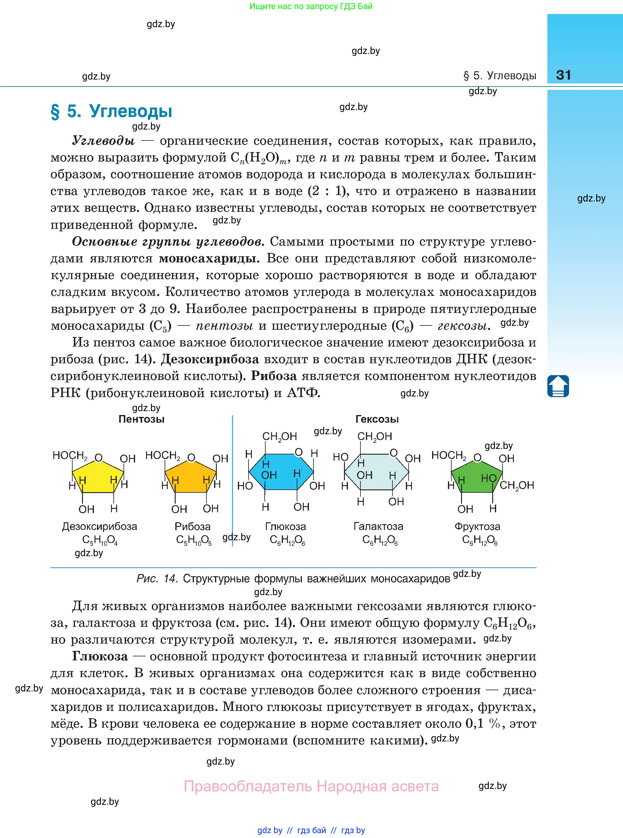 Биология, 11 класс Учебник, авторы: Дашков Максим Леонидович, Песнякевич Александр Георгиевич, Головач Алексей Михайлович, издательство Народная асвета, Минск, 2021, голубого цвета, страница 31