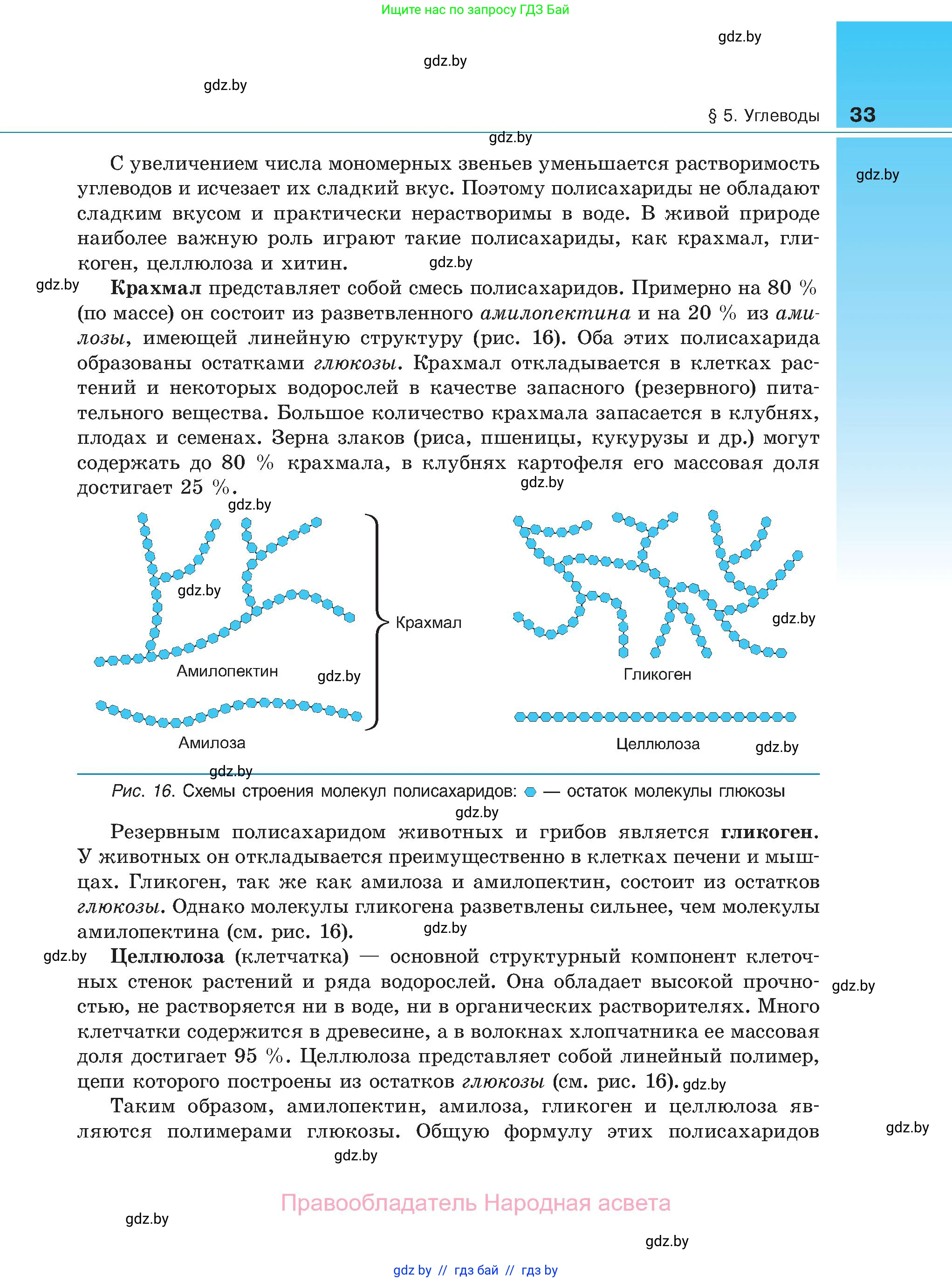 Биология, 11 класс Учебник, авторы: Дашков Максим Леонидович, Песнякевич Александр Георгиевич, Головач Алексей Михайлович, издательство Народная асвета, Минск, 2021, голубого цвета, страница 33