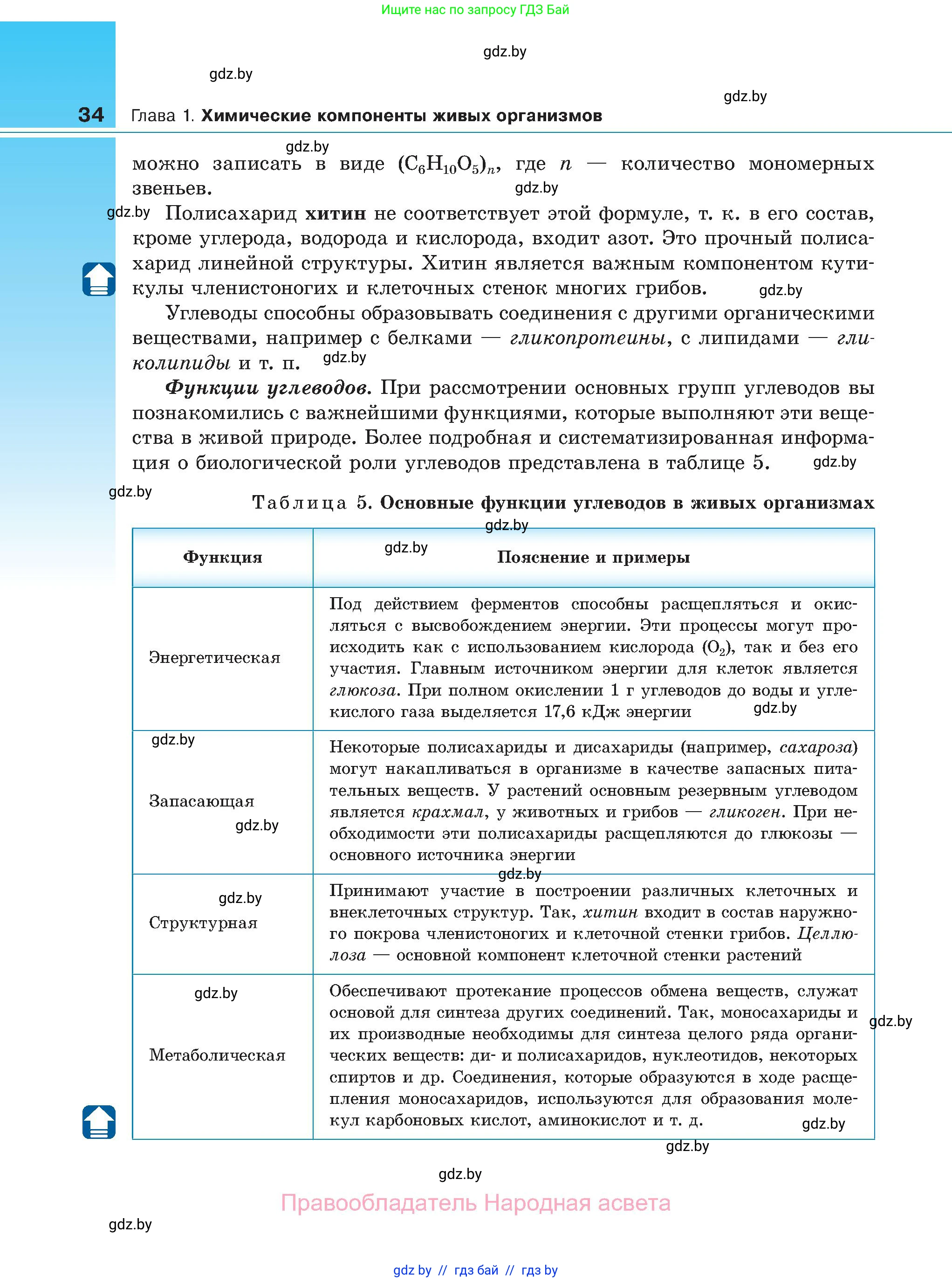 Биология, 11 класс Учебник, авторы: Дашков Максим Леонидович, Песнякевич Александр Георгиевич, Головач Алексей Михайлович, издательство Народная асвета, Минск, 2021, голубого цвета, страница 34