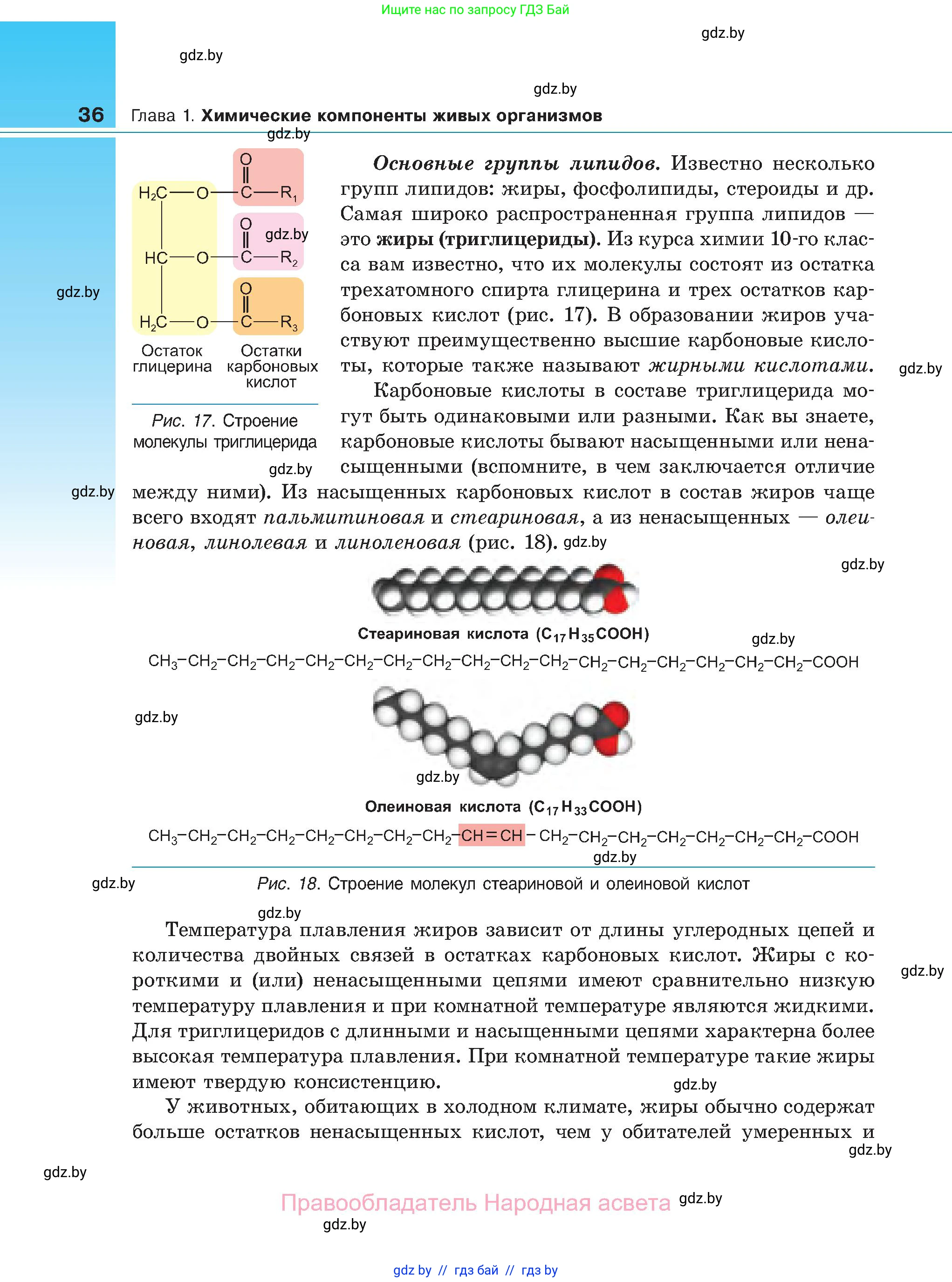 Биология, 11 класс Учебник, авторы: Дашков Максим Леонидович, Песнякевич Александр Георгиевич, Головач Алексей Михайлович, издательство Народная асвета, Минск, 2021, голубого цвета, страница 36