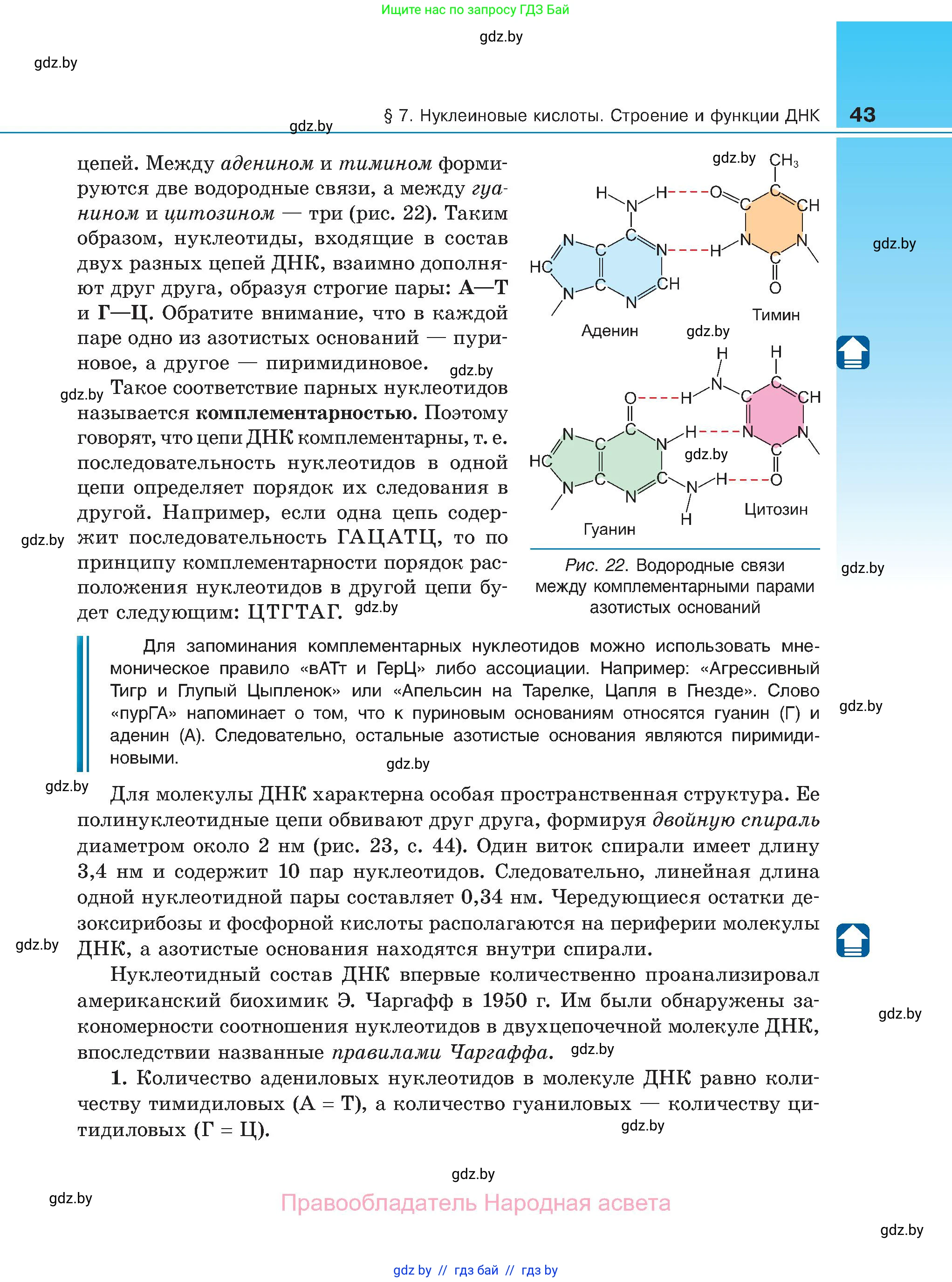 Биология, 11 класс Учебник, авторы: Дашков Максим Леонидович, Песнякевич Александр Георгиевич, Головач Алексей Михайлович, издательство Народная асвета, Минск, 2021, голубого цвета, страница 43