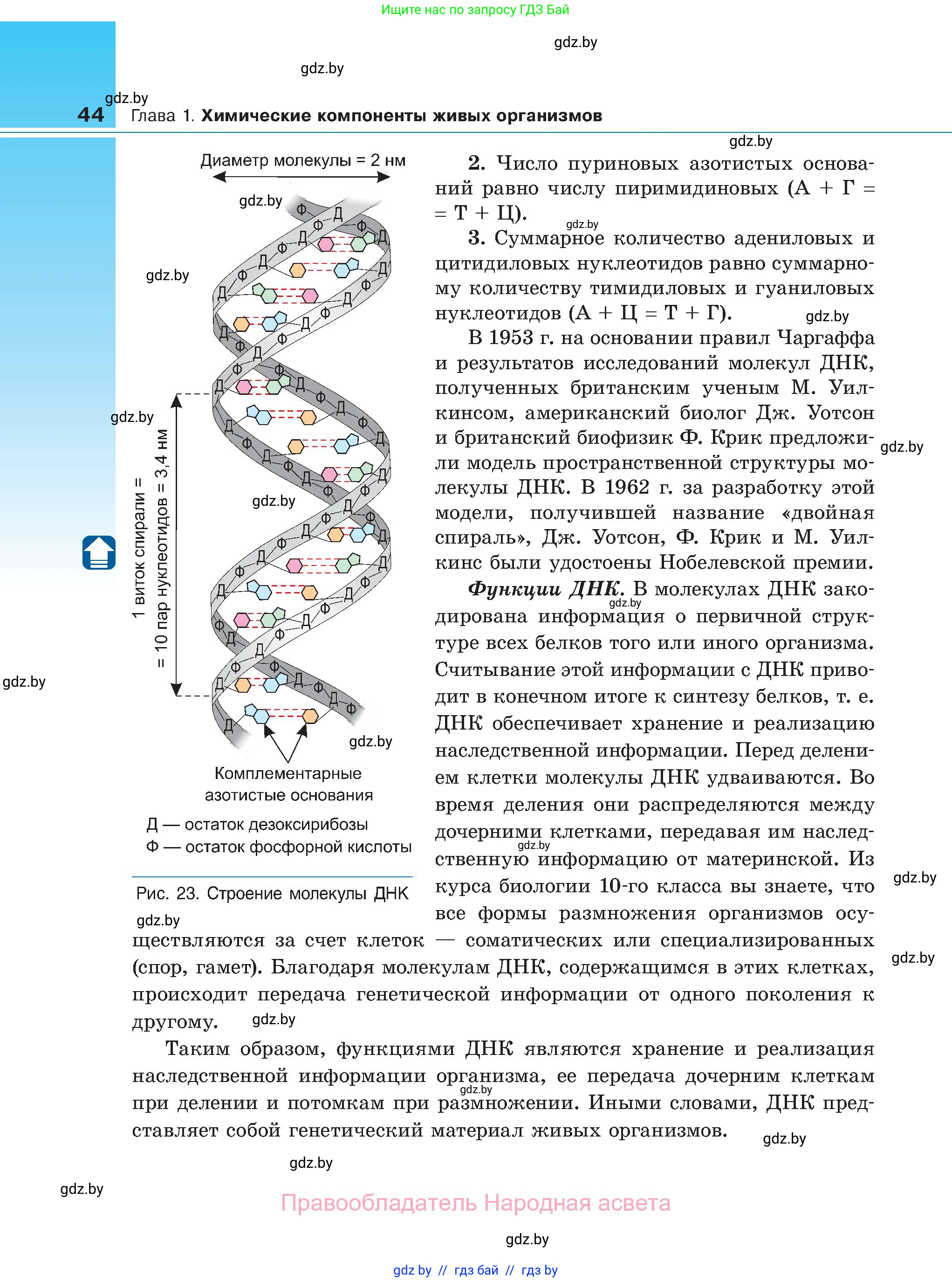 Биология, 11 класс Учебник, авторы: Дашков Максим Леонидович, Песнякевич Александр Георгиевич, Головач Алексей Михайлович, издательство Народная асвета, Минск, 2021, голубого цвета, страница 44