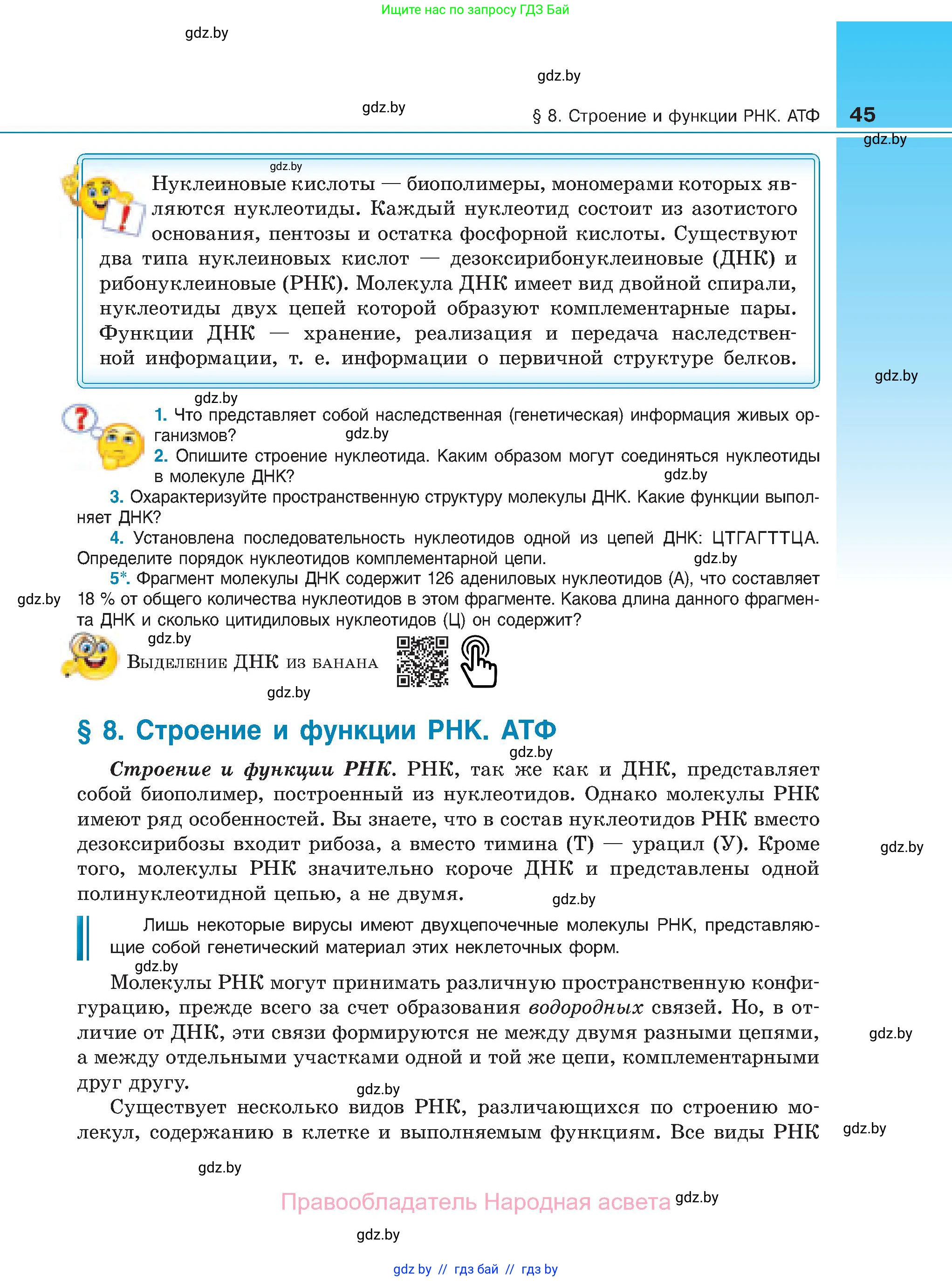 Биология, 11 класс Учебник, авторы: Дашков Максим Леонидович, Песнякевич Александр Георгиевич, Головач Алексей Михайлович, издательство Народная асвета, Минск, 2021, голубого цвета, страница 45