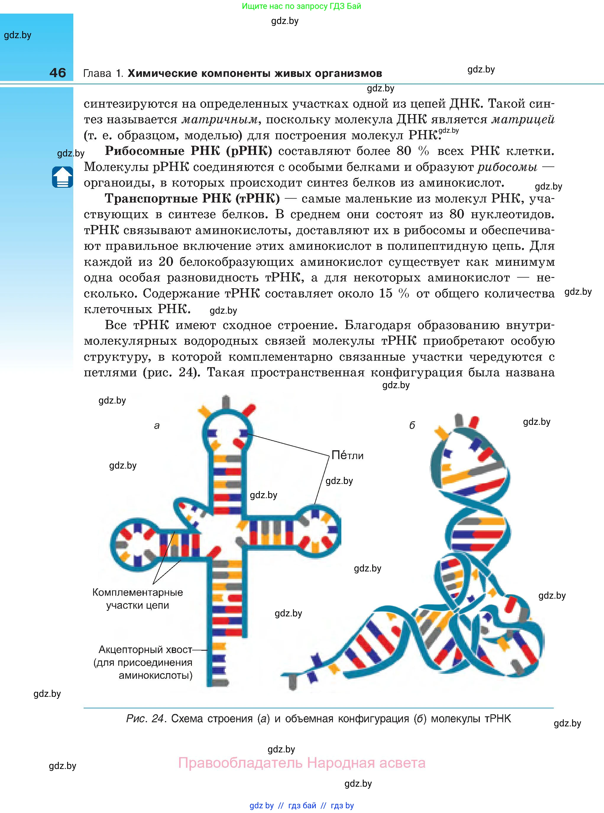 Биология, 11 класс Учебник, авторы: Дашков Максим Леонидович, Песнякевич Александр Георгиевич, Головач Алексей Михайлович, издательство Народная асвета, Минск, 2021, голубого цвета, страница 46