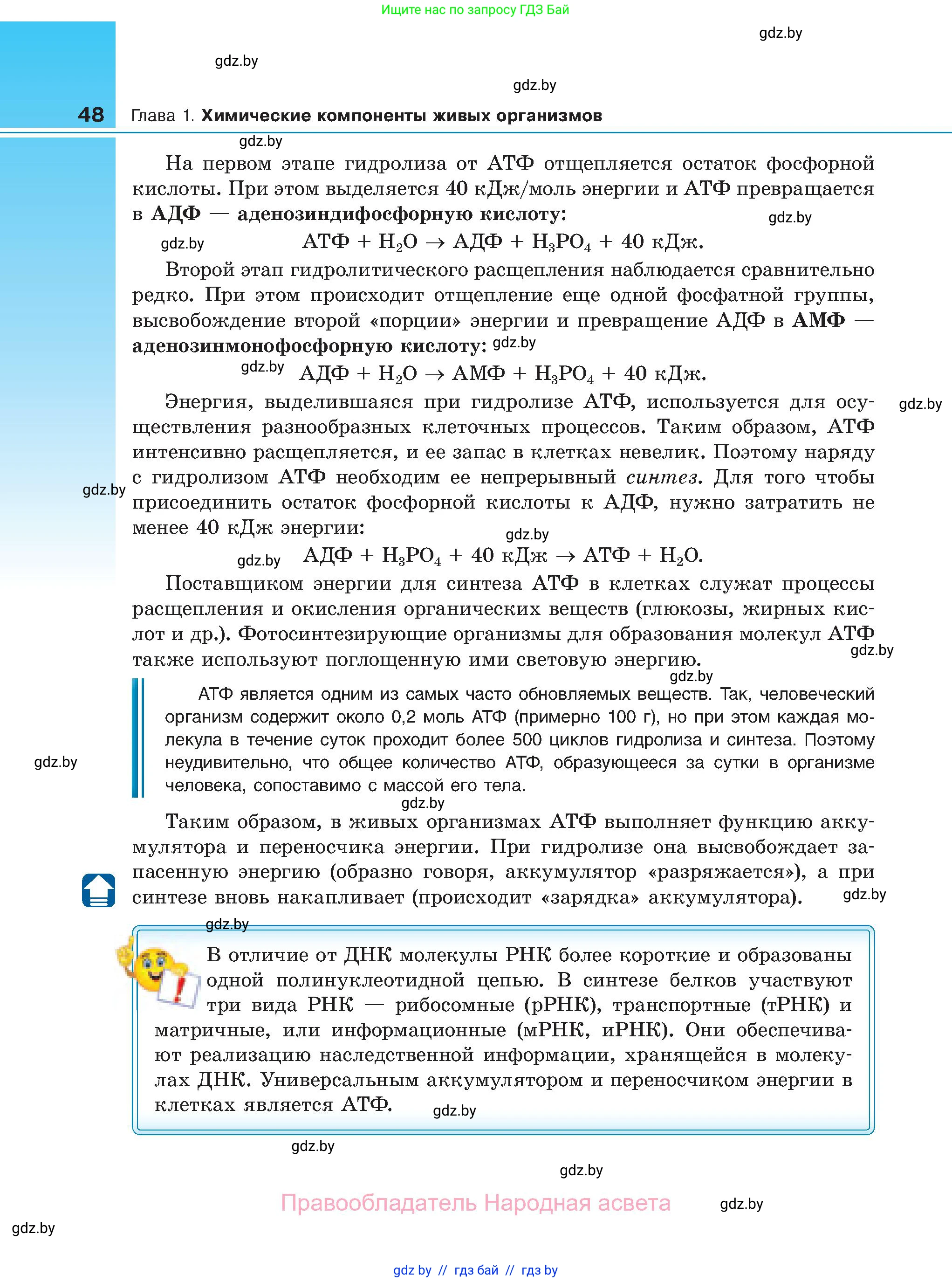 Биология, 11 класс Учебник, авторы: Дашков Максим Леонидович, Песнякевич Александр Георгиевич, Головач Алексей Михайлович, издательство Народная асвета, Минск, 2021, голубого цвета, страница 48
