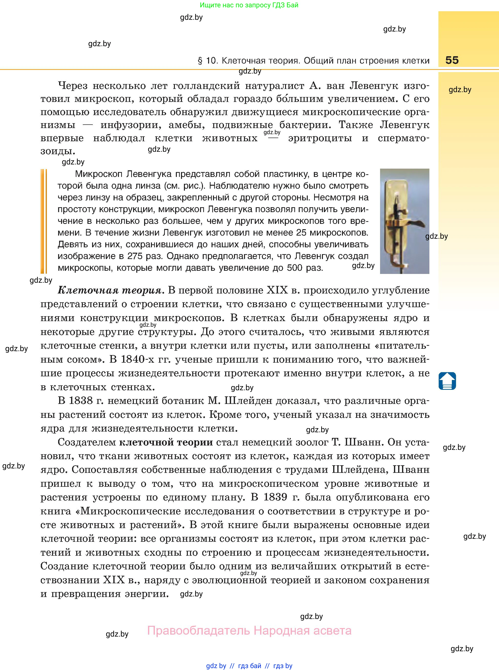 Биология, 11 класс Учебник, авторы: Дашков Максим Леонидович, Песнякевич Александр Георгиевич, Головач Алексей Михайлович, издательство Народная асвета, Минск, 2021, голубого цвета, страница 55