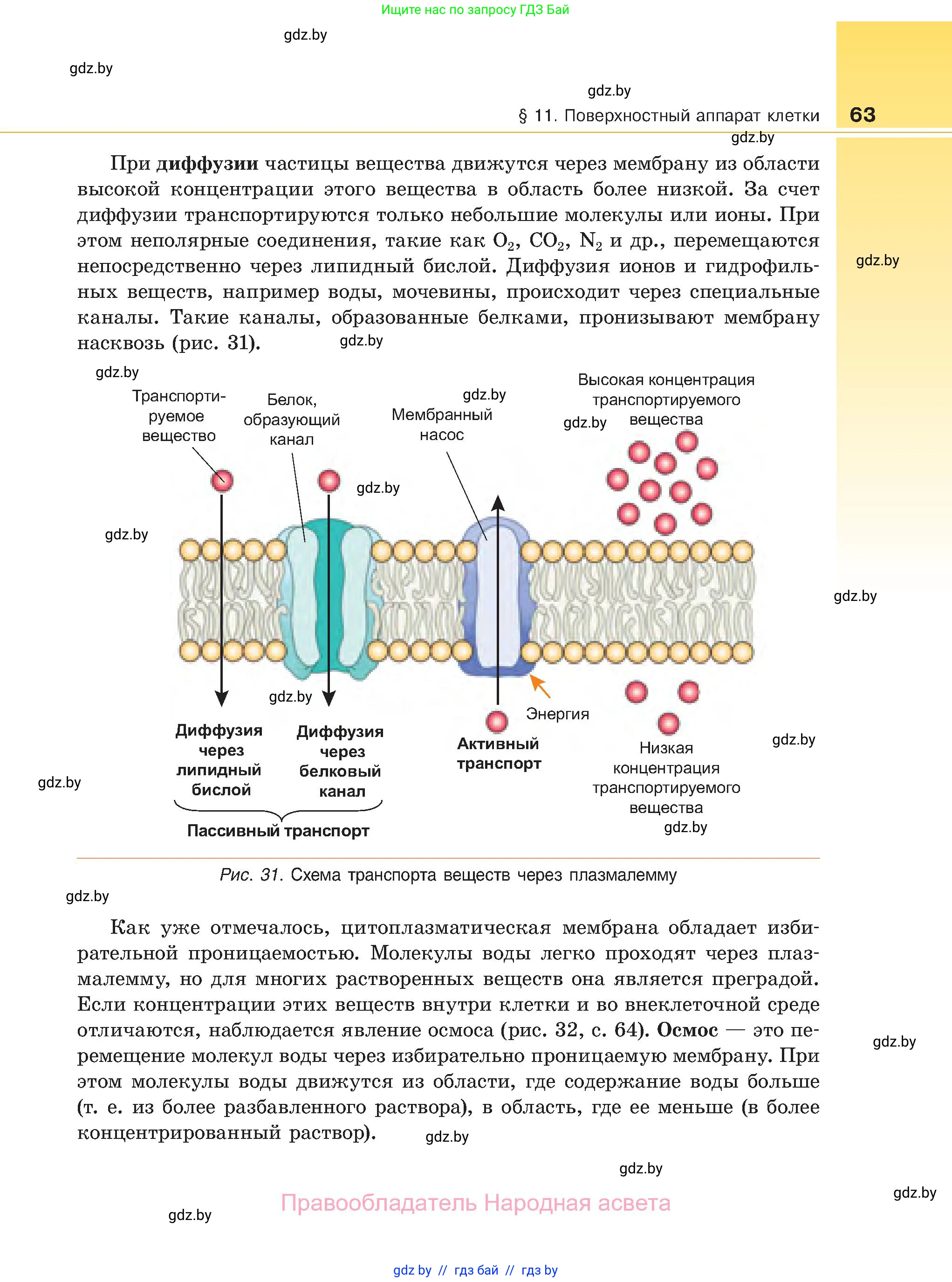 Биология, 11 класс Учебник, авторы: Дашков Максим Леонидович, Песнякевич Александр Георгиевич, Головач Алексей Михайлович, издательство Народная асвета, Минск, 2021, голубого цвета, страница 63