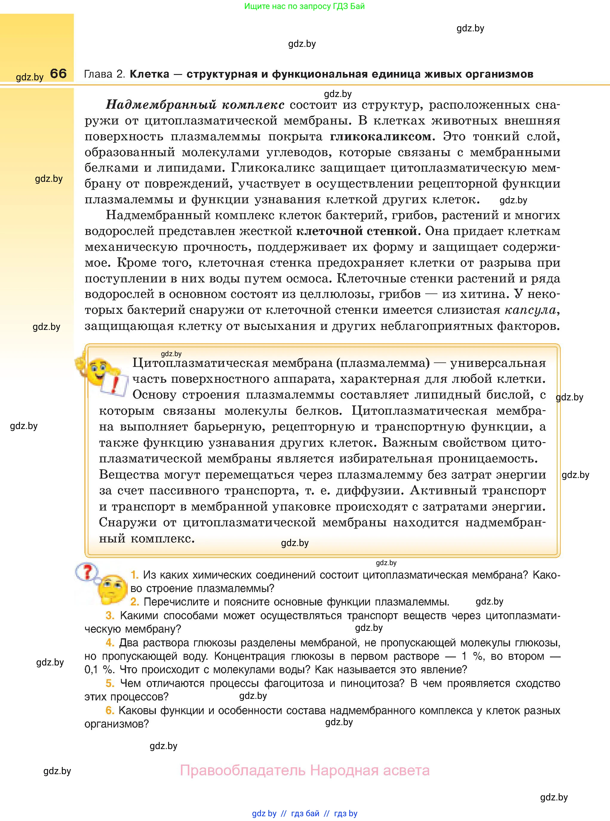 Биология, 11 класс Учебник, авторы: Дашков Максим Леонидович, Песнякевич Александр Георгиевич, Головач Алексей Михайлович, издательство Народная асвета, Минск, 2021, голубого цвета, страница 66