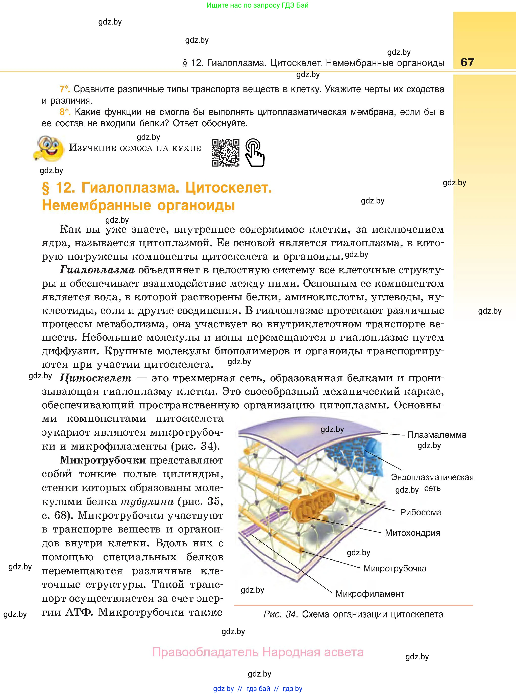Биология, 11 класс Учебник, авторы: Дашков Максим Леонидович, Песнякевич Александр Георгиевич, Головач Алексей Михайлович, издательство Народная асвета, Минск, 2021, голубого цвета, страница 67