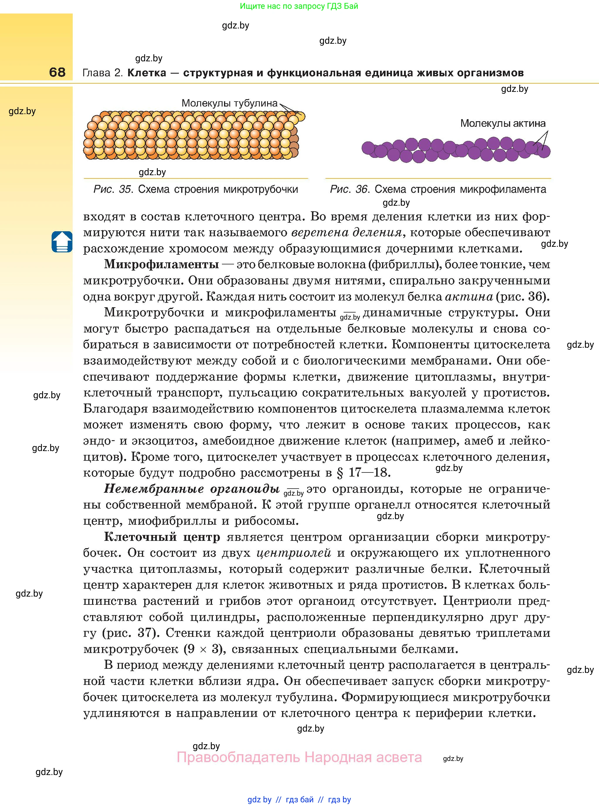 Биология, 11 класс Учебник, авторы: Дашков Максим Леонидович, Песнякевич Александр Георгиевич, Головач Алексей Михайлович, издательство Народная асвета, Минск, 2021, голубого цвета, страница 68