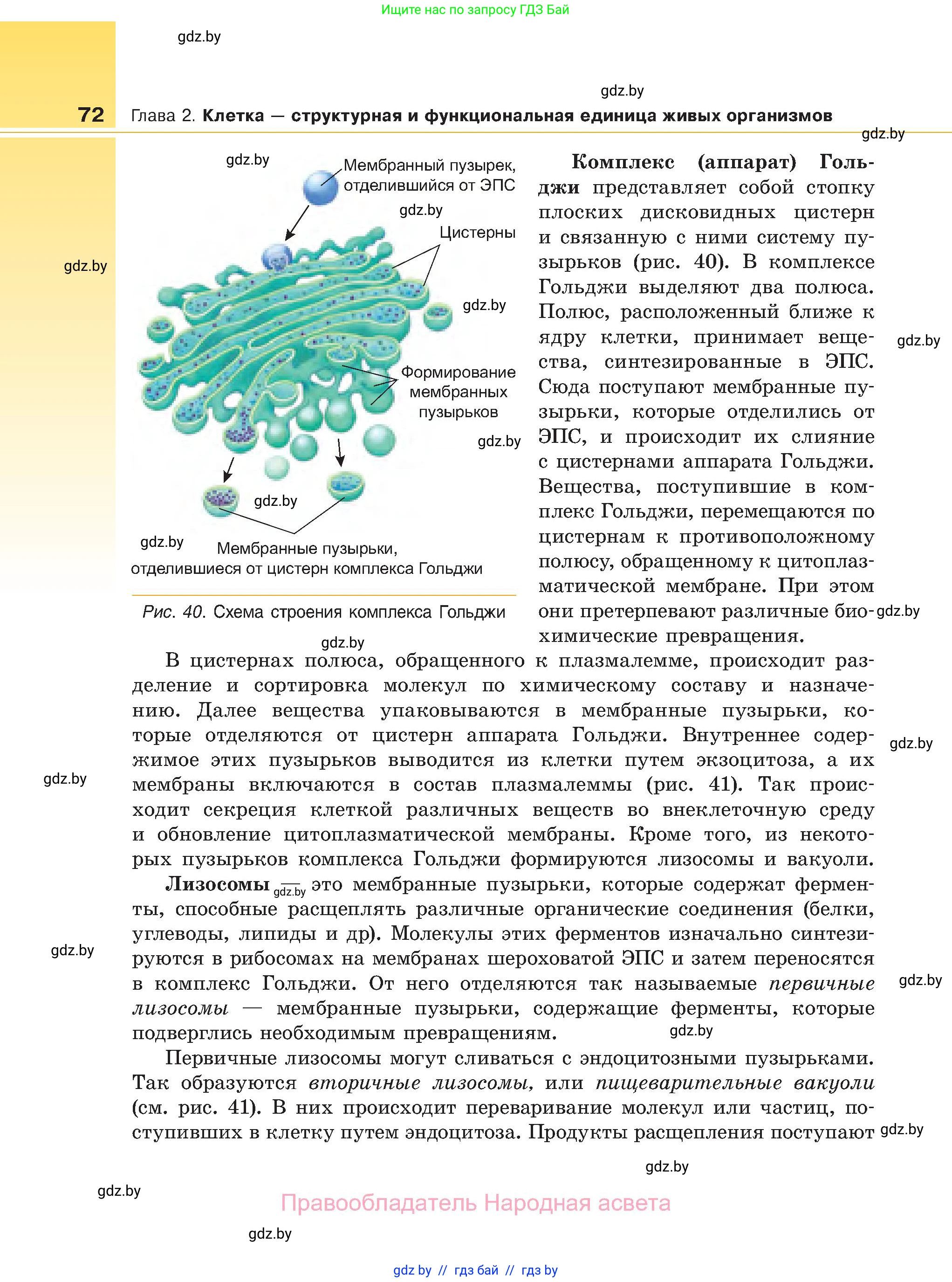 Биология, 11 класс Учебник, авторы: Дашков Максим Леонидович, Песнякевич Александр Георгиевич, Головач Алексей Михайлович, издательство Народная асвета, Минск, 2021, голубого цвета, страница 72