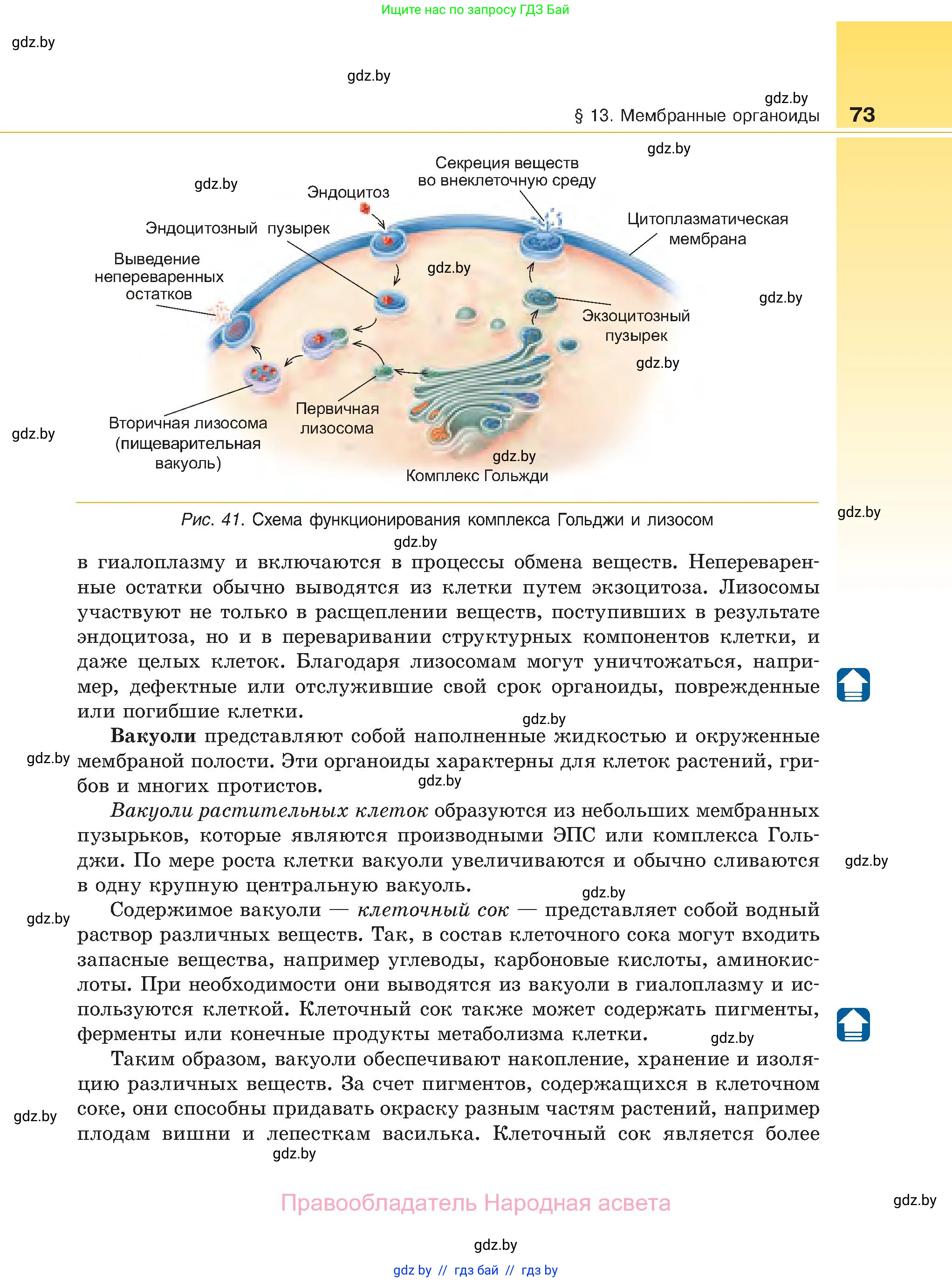 Биология, 11 класс Учебник, авторы: Дашков Максим Леонидович, Песнякевич Александр Георгиевич, Головач Алексей Михайлович, издательство Народная асвета, Минск, 2021, голубого цвета, страница 73