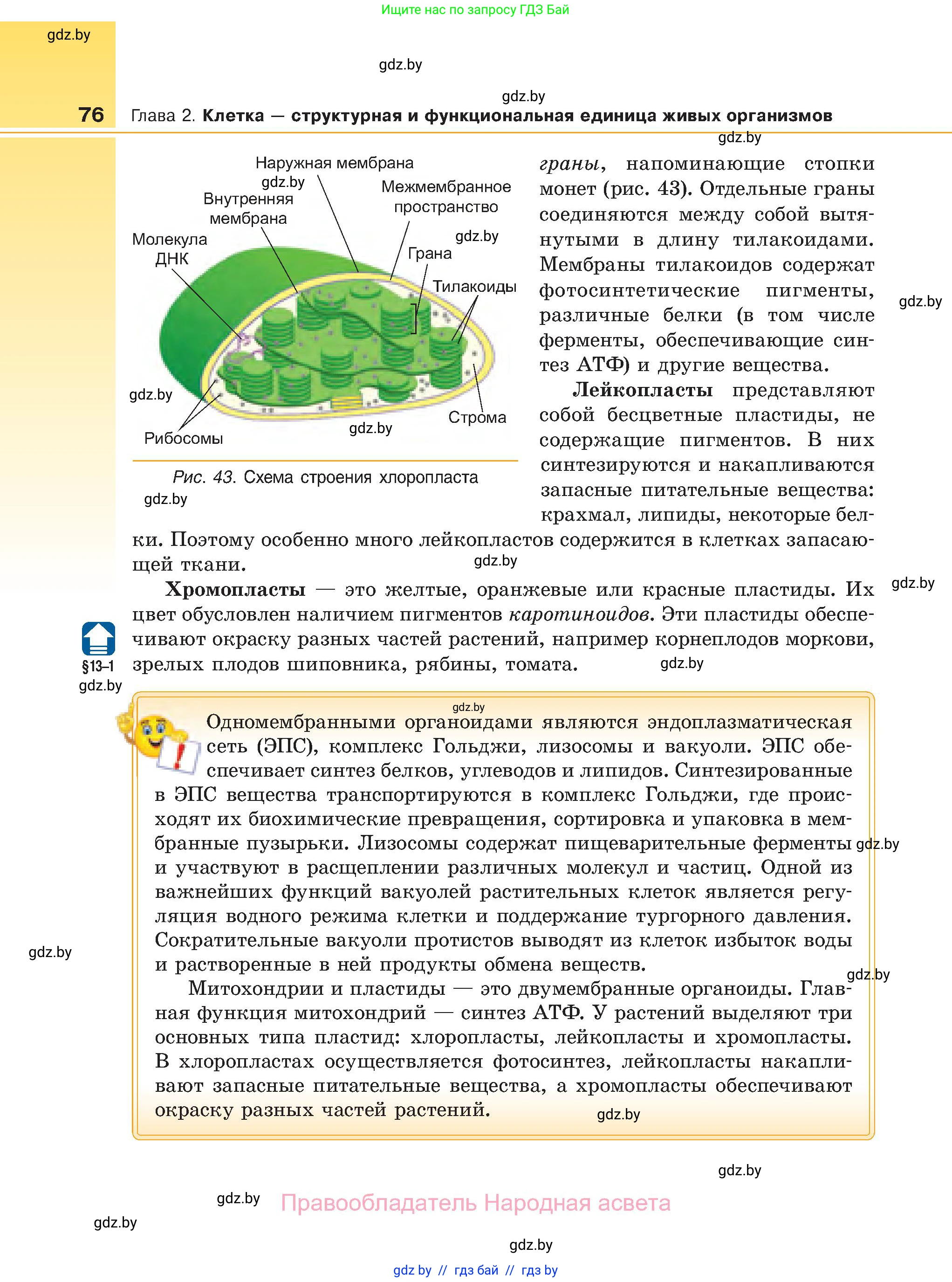 Биология, 11 класс Учебник, авторы: Дашков Максим Леонидович, Песнякевич Александр Георгиевич, Головач Алексей Михайлович, издательство Народная асвета, Минск, 2021, голубого цвета, страница 76
