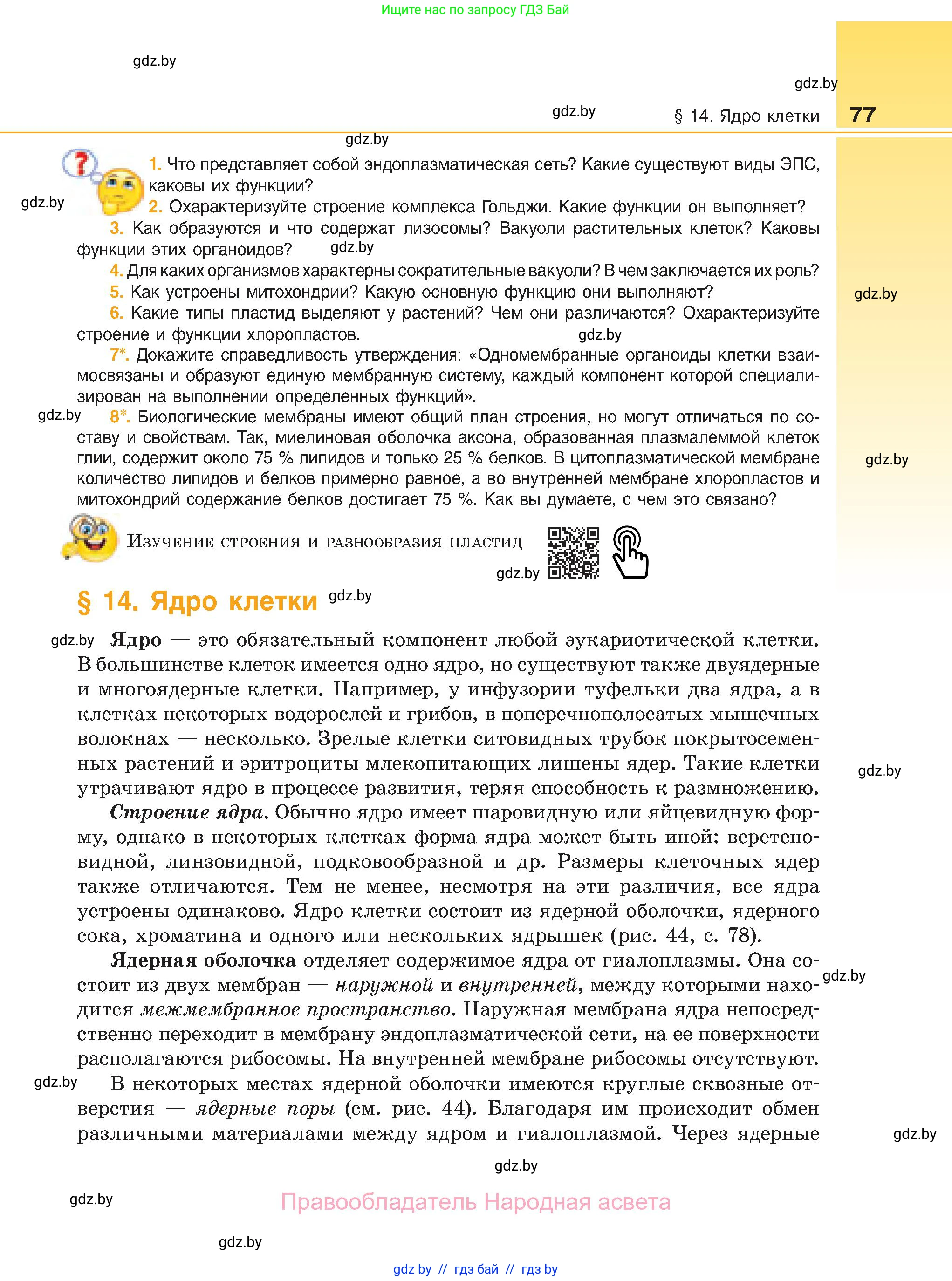 Биология, 11 класс Учебник, авторы: Дашков Максим Леонидович, Песнякевич Александр Георгиевич, Головач Алексей Михайлович, издательство Народная асвета, Минск, 2021, голубого цвета, страница 77
