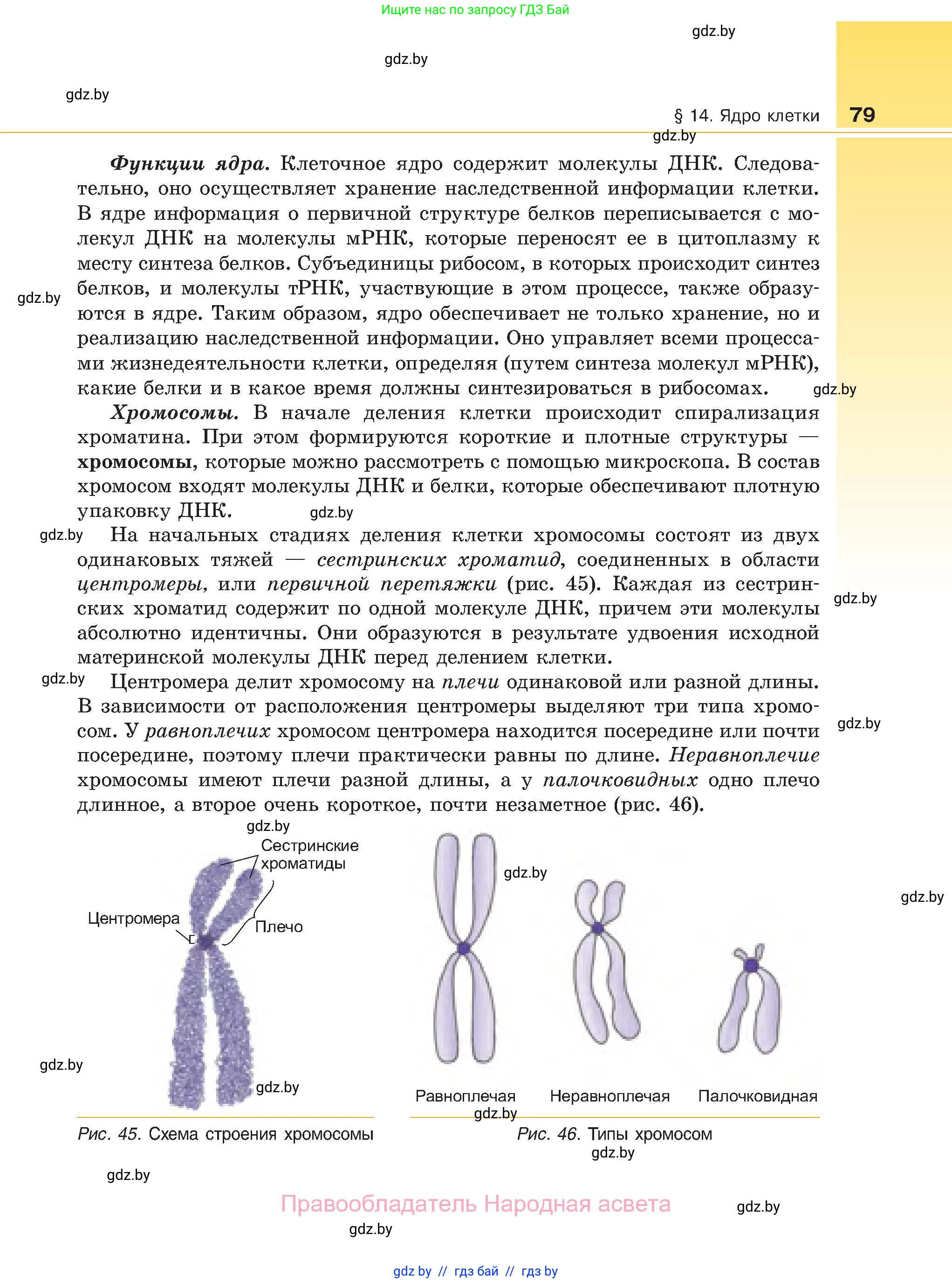 Биология, 11 класс Учебник, авторы: Дашков Максим Леонидович, Песнякевич Александр Георгиевич, Головач Алексей Михайлович, издательство Народная асвета, Минск, 2021, голубого цвета, страница 79