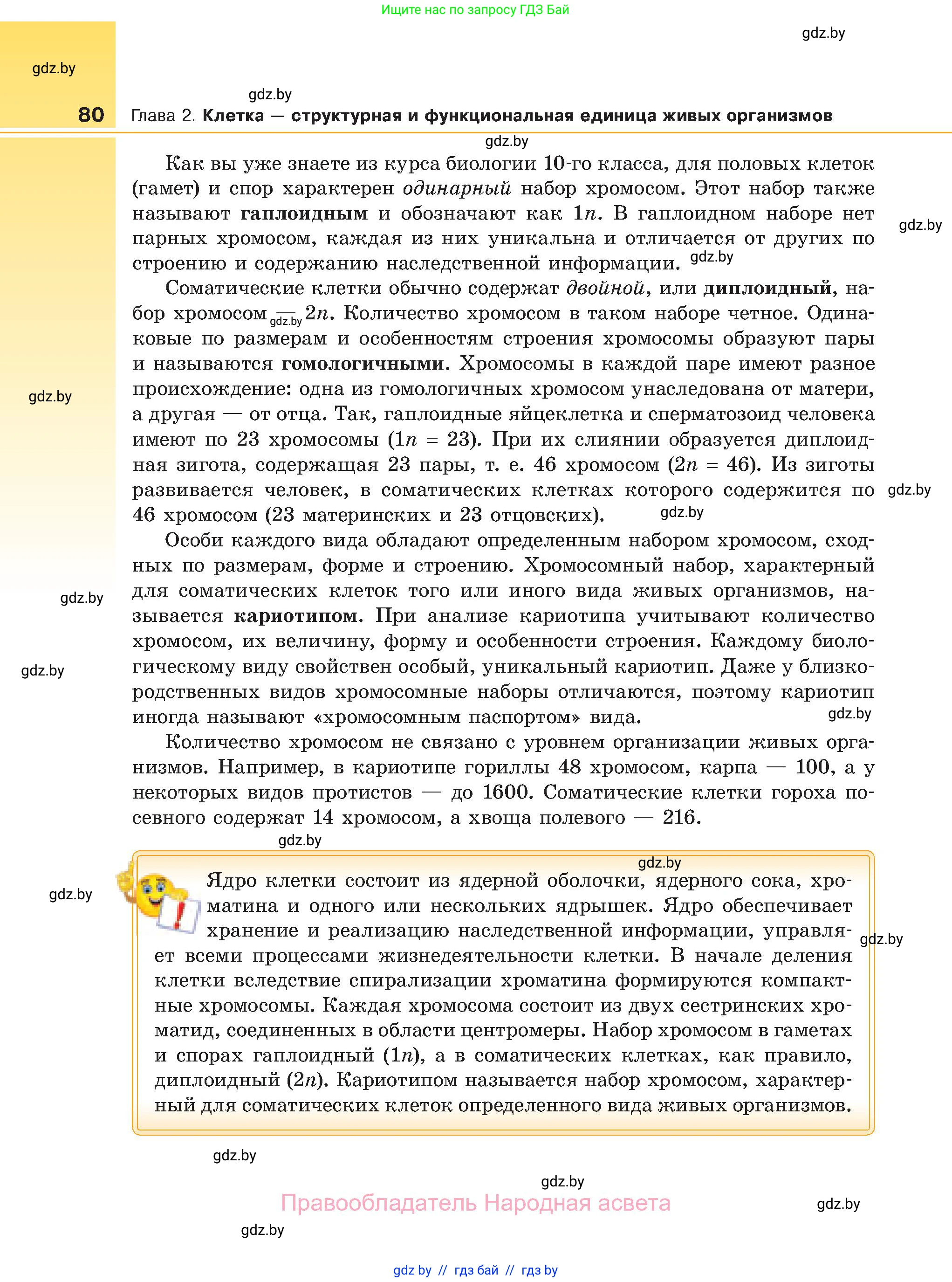 Биология, 11 класс Учебник, авторы: Дашков Максим Леонидович, Песнякевич Александр Георгиевич, Головач Алексей Михайлович, издательство Народная асвета, Минск, 2021, голубого цвета, страница 80