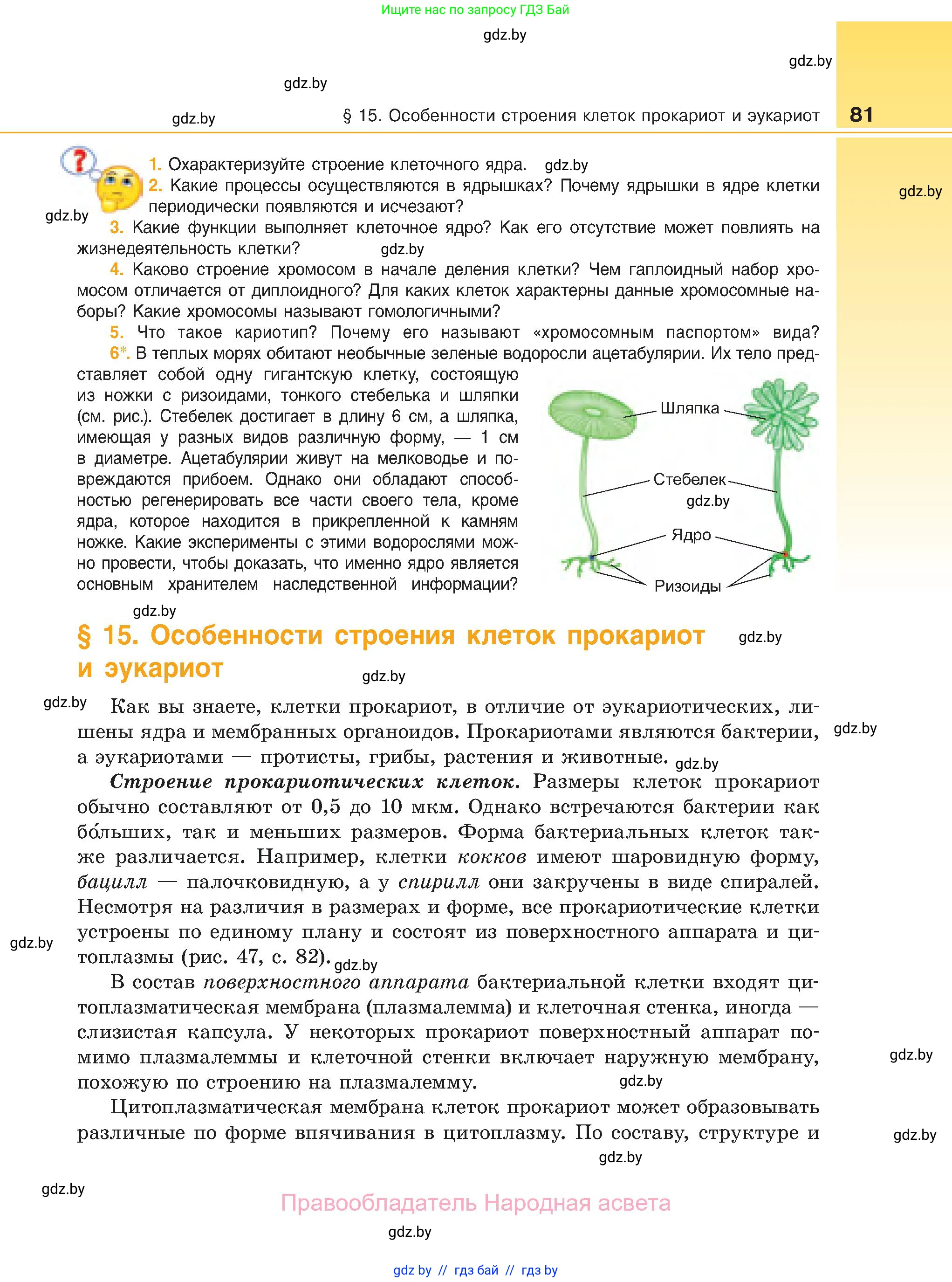 Биология, 11 класс Учебник, авторы: Дашков Максим Леонидович, Песнякевич Александр Георгиевич, Головач Алексей Михайлович, издательство Народная асвета, Минск, 2021, голубого цвета, страница 81