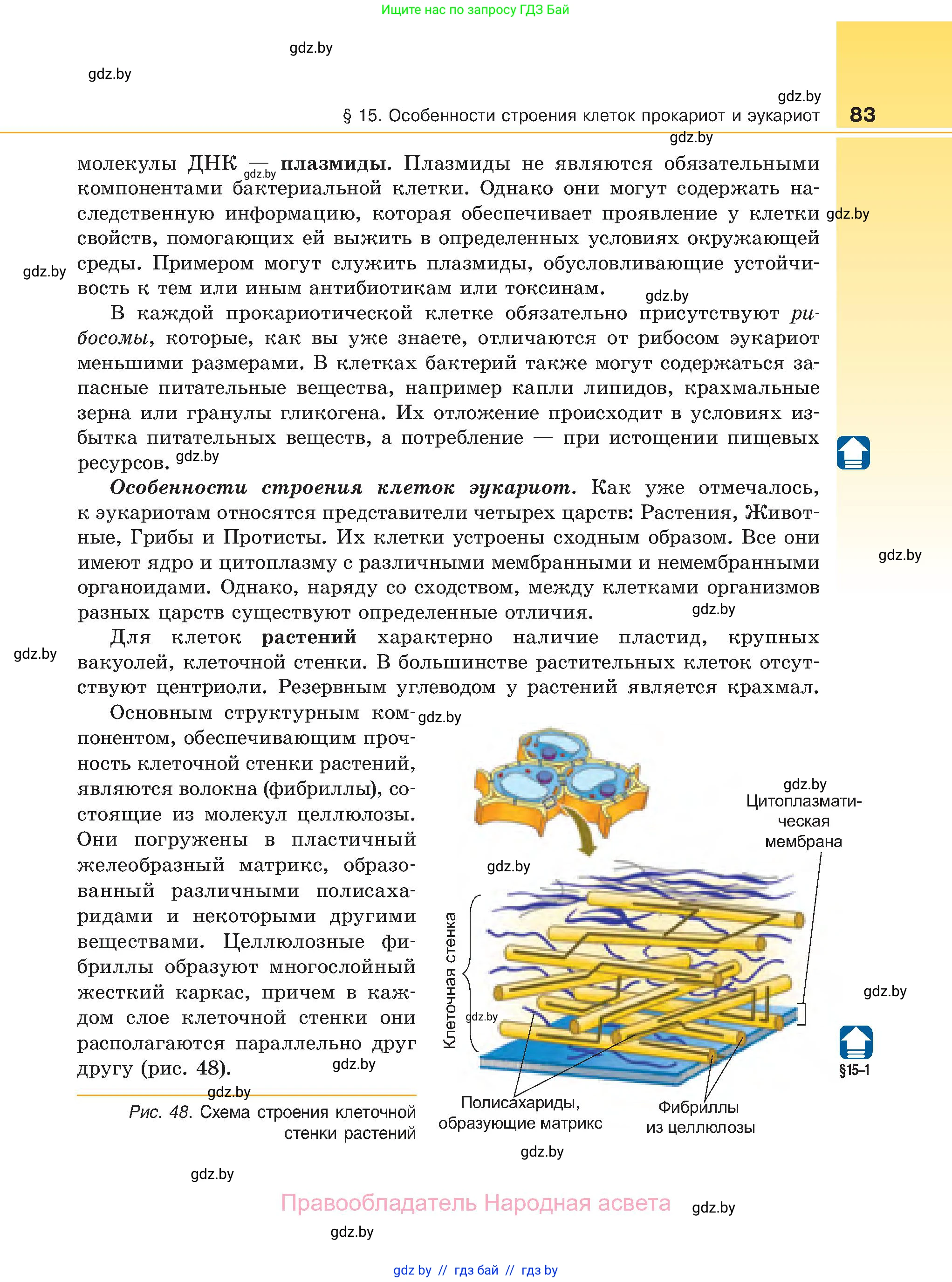 Биология, 11 класс Учебник, авторы: Дашков Максим Леонидович, Песнякевич Александр Георгиевич, Головач Алексей Михайлович, издательство Народная асвета, Минск, 2021, голубого цвета, страница 83