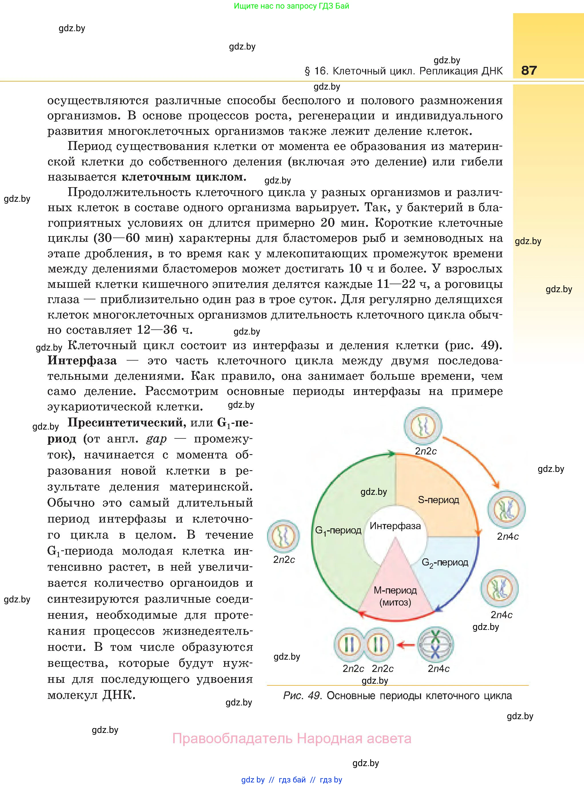 Биология, 11 класс Учебник, авторы: Дашков Максим Леонидович, Песнякевич Александр Георгиевич, Головач Алексей Михайлович, издательство Народная асвета, Минск, 2021, голубого цвета, страница 87