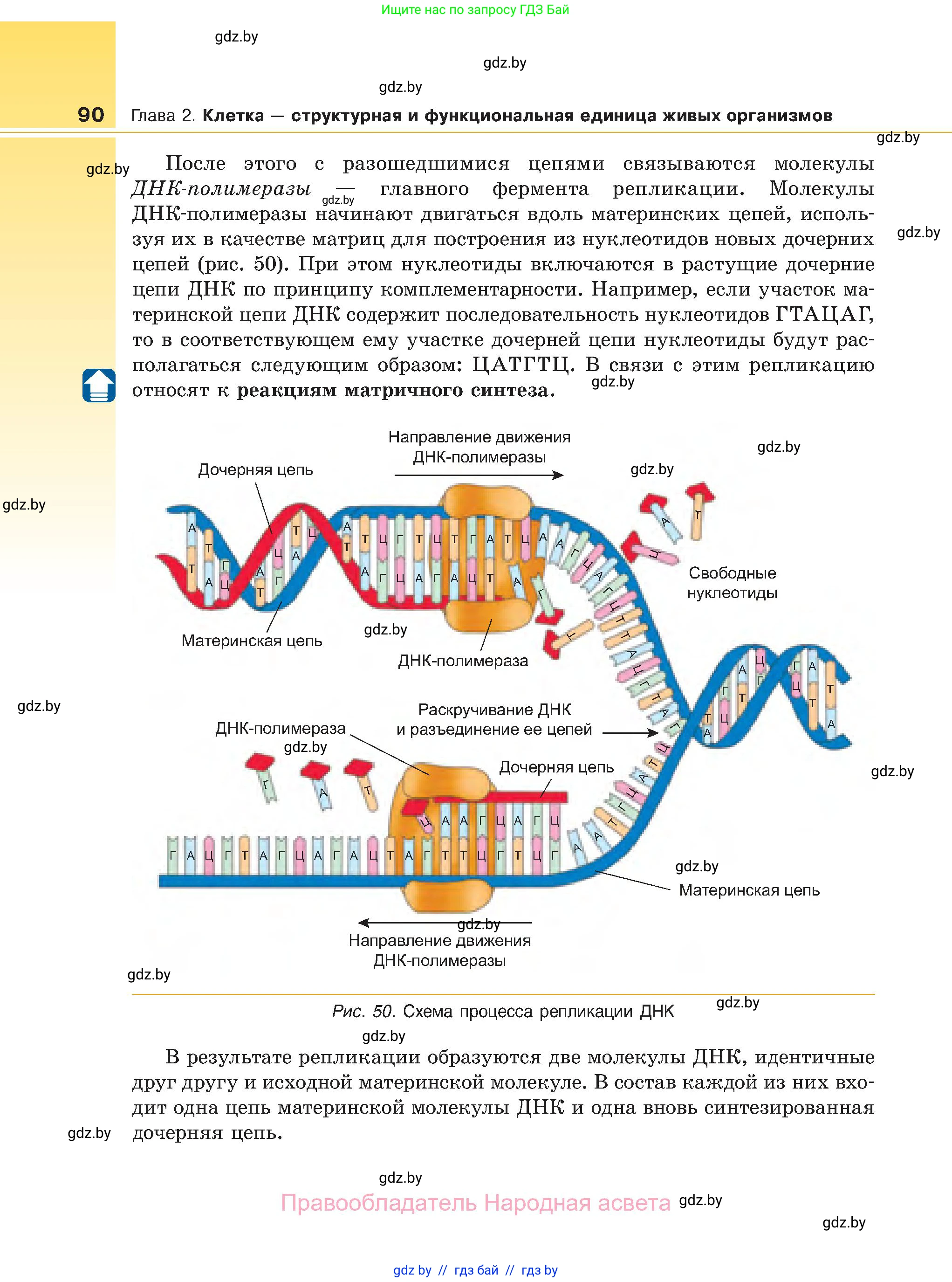 Биология, 11 класс Учебник, авторы: Дашков Максим Леонидович, Песнякевич Александр Георгиевич, Головач Алексей Михайлович, издательство Народная асвета, Минск, 2021, голубого цвета, страница 90