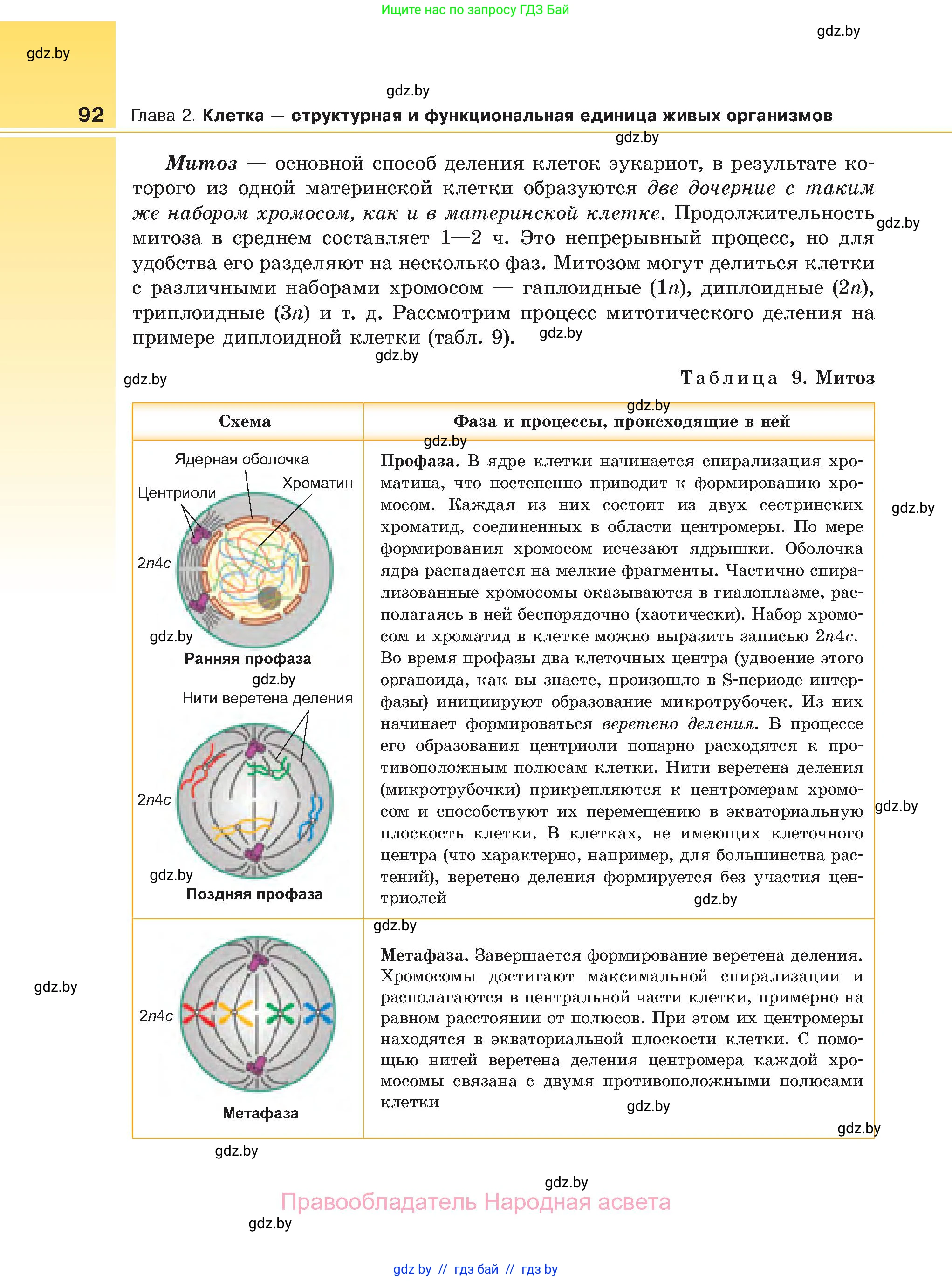Биология, 11 класс Учебник, авторы: Дашков Максим Леонидович, Песнякевич Александр Георгиевич, Головач Алексей Михайлович, издательство Народная асвета, Минск, 2021, голубого цвета, страница 92